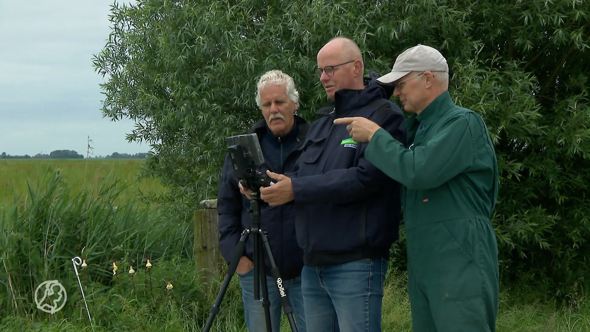 Drones moeten weidevogels beschermen: 'Anders betekent dit het einde'