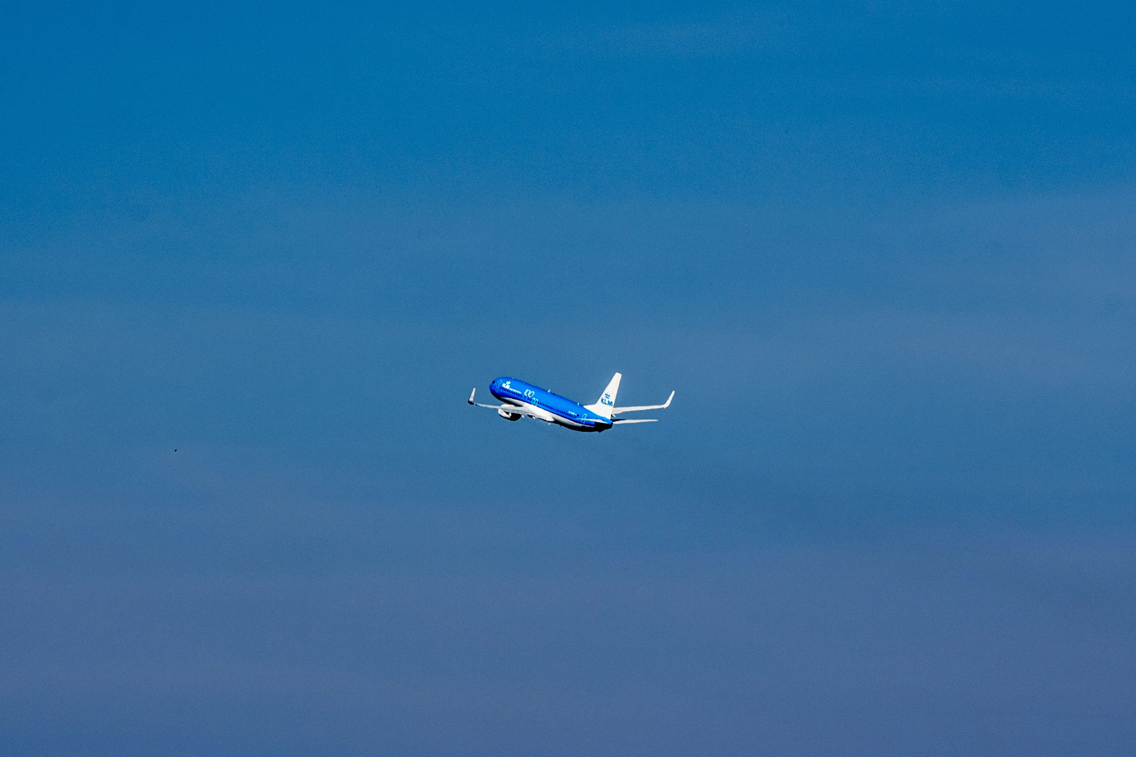 Staatssteun voor KLM, maar hoe geliefd is de 'blauwe zwaan' eigenlijk?