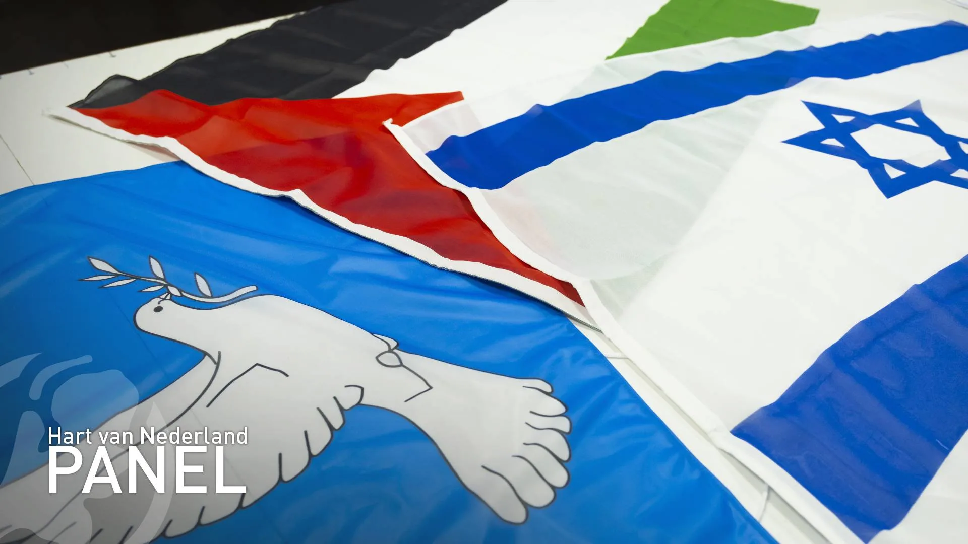 Oorlogen in Israël, Gaza en Oekraïne spelen voor meesten geen rol in stemkeuze