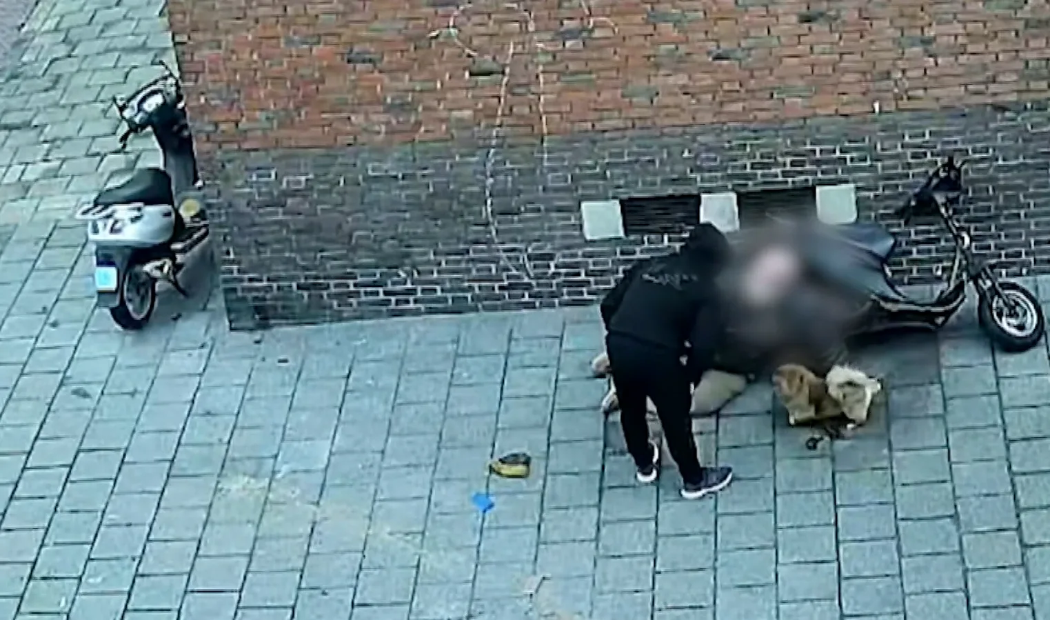 Vreselijke beelden: 79-jarige man die hond uitlaat slachtoffer van brute straatroof