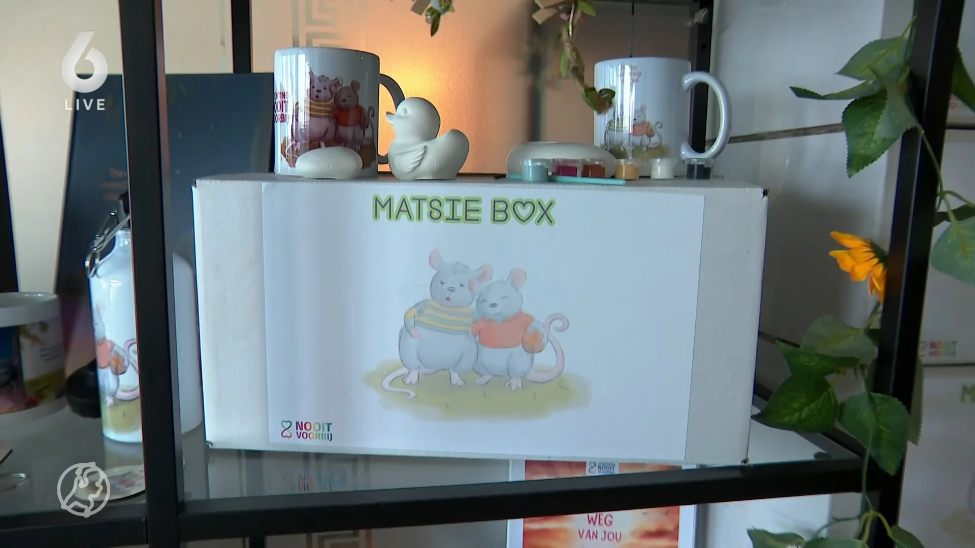 Nieuwe zelfhulpbox helpt jonge kinderen rouwen na verlies van broertje of zusje