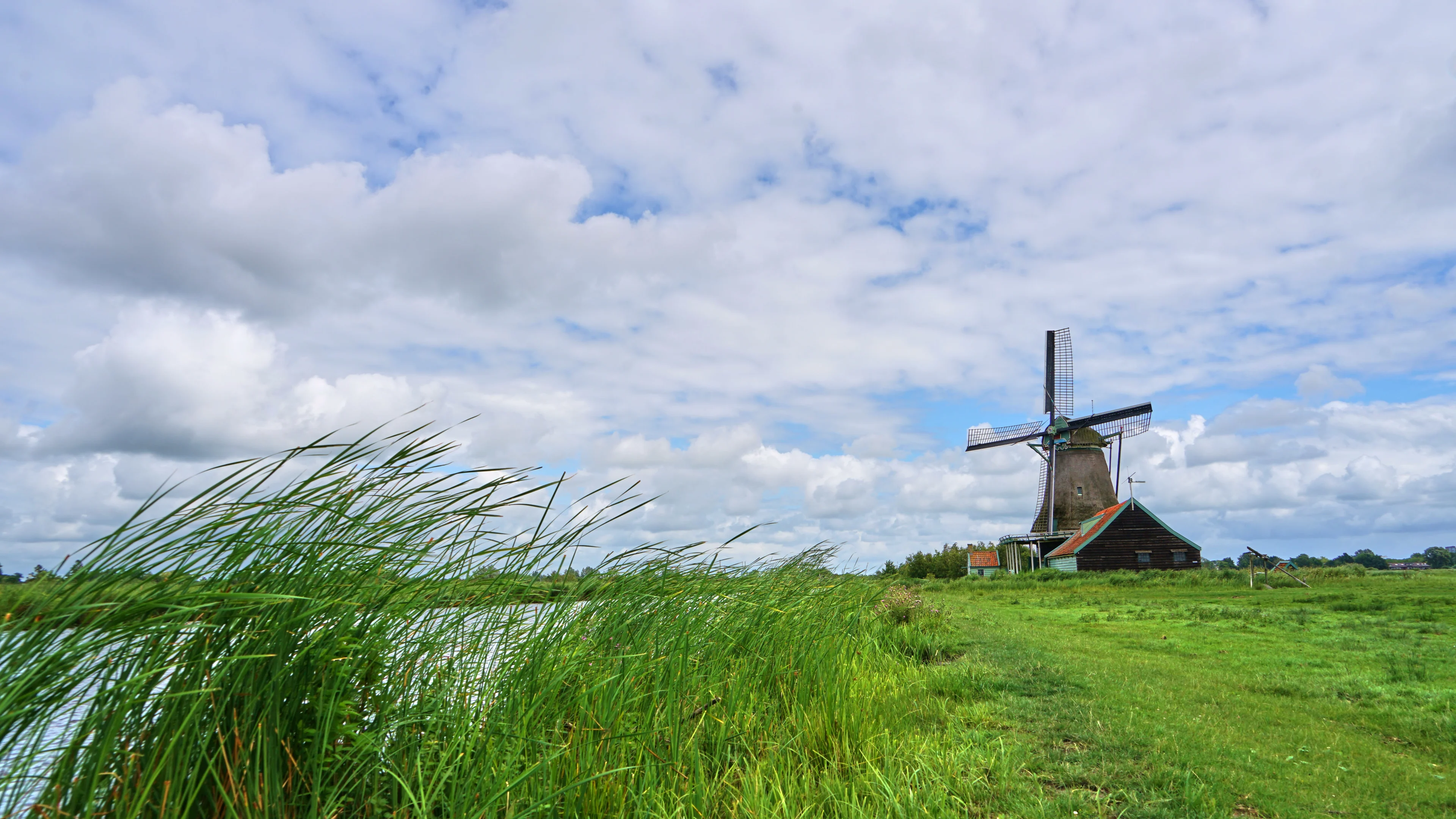 Zon keert terug, maar eerst nog regen en stevige wind op komst