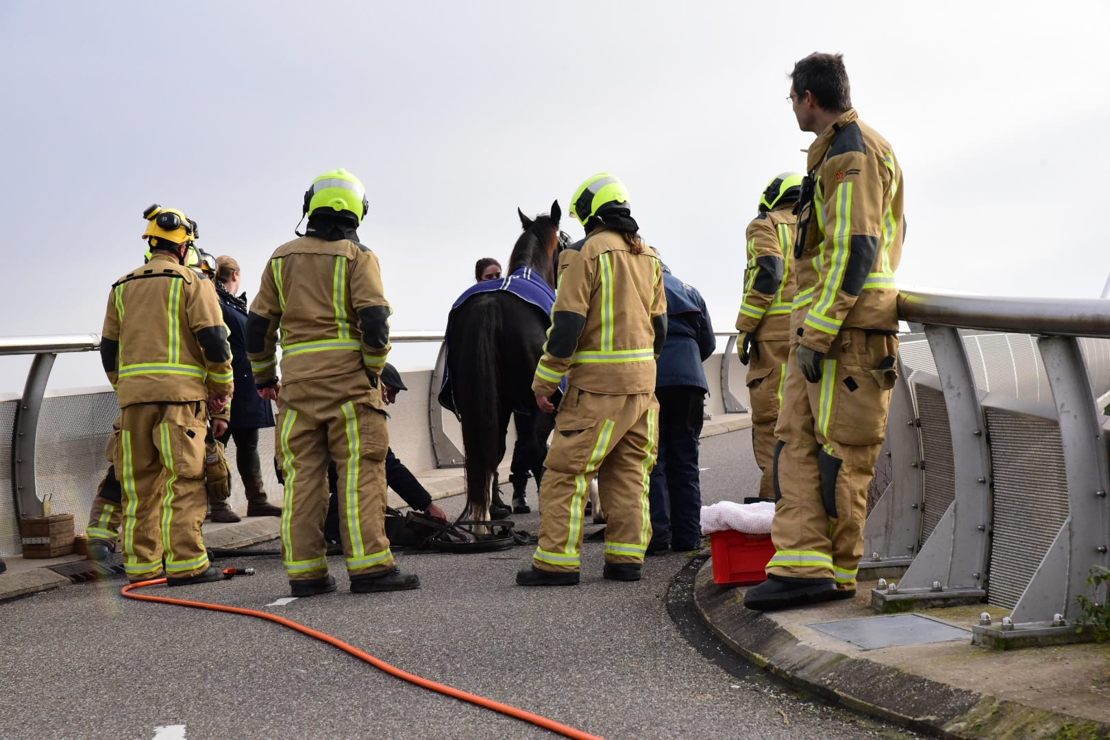 Vastzittend paard zorgt voor hachelijke situatie op fietsbrug