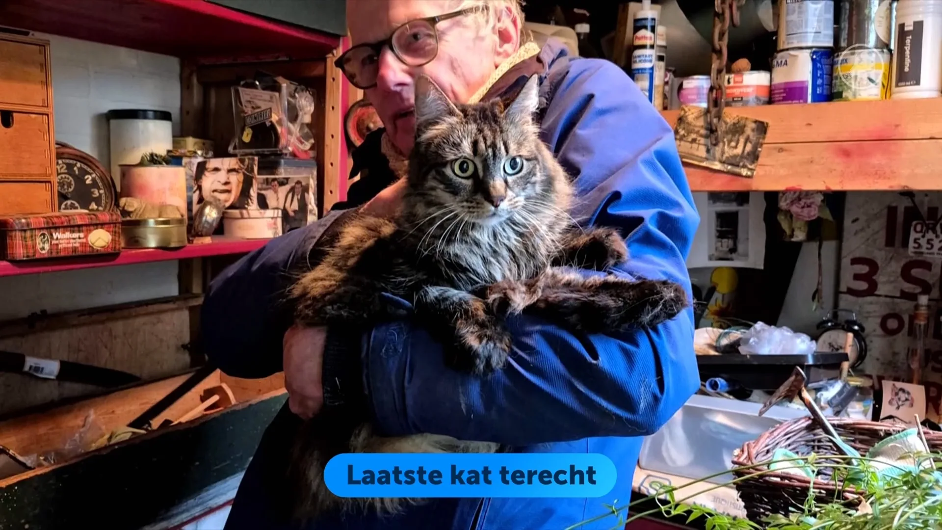 Alle vermiste katten na explosie Utrecht weer terecht: ook poes Cara is gevangen