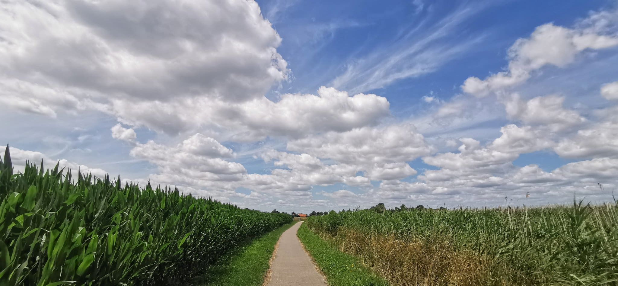 Koele dag, maar na vandaag gaan de temperaturen weer omhoog