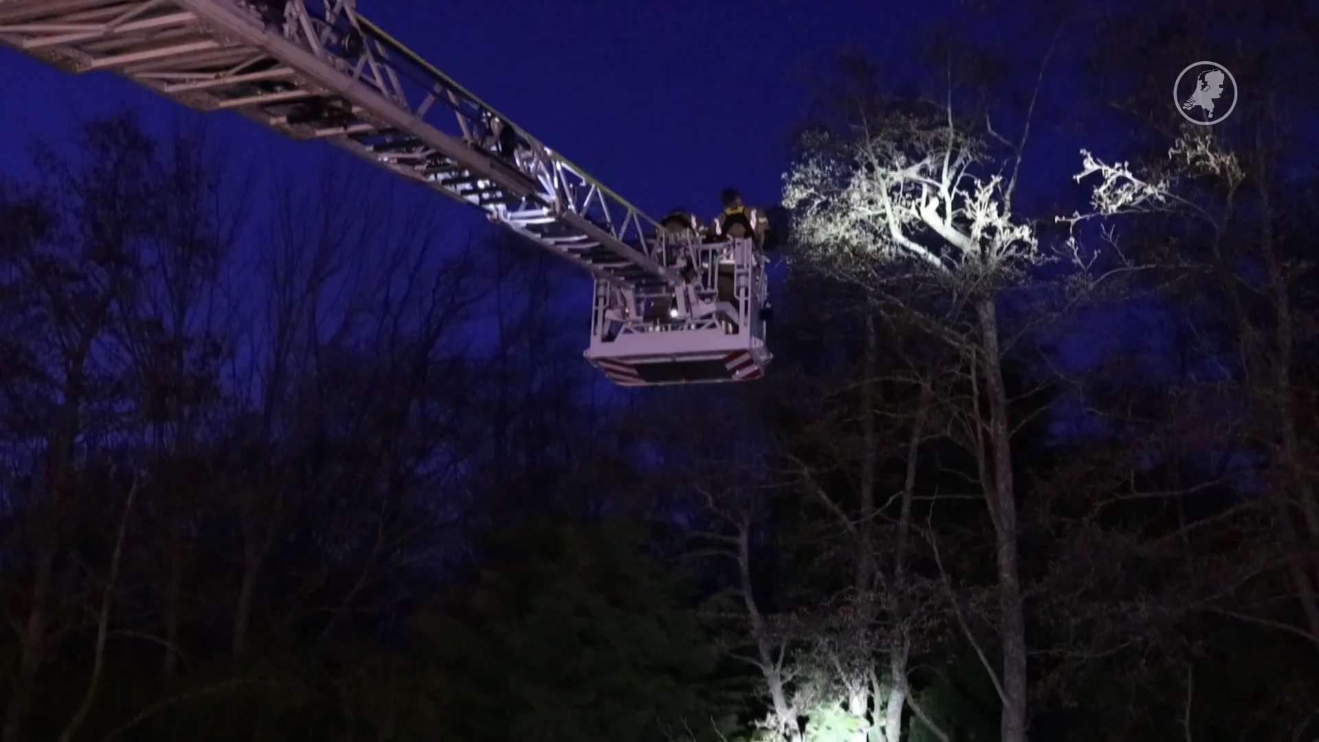 Brandweer en buurtbewoners springen in de bres voor vermiste parkiet Ponchik