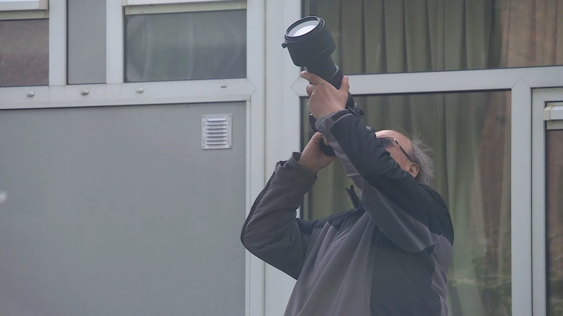 Zeldzame uil trekt tientallen vogelaars naar Delft