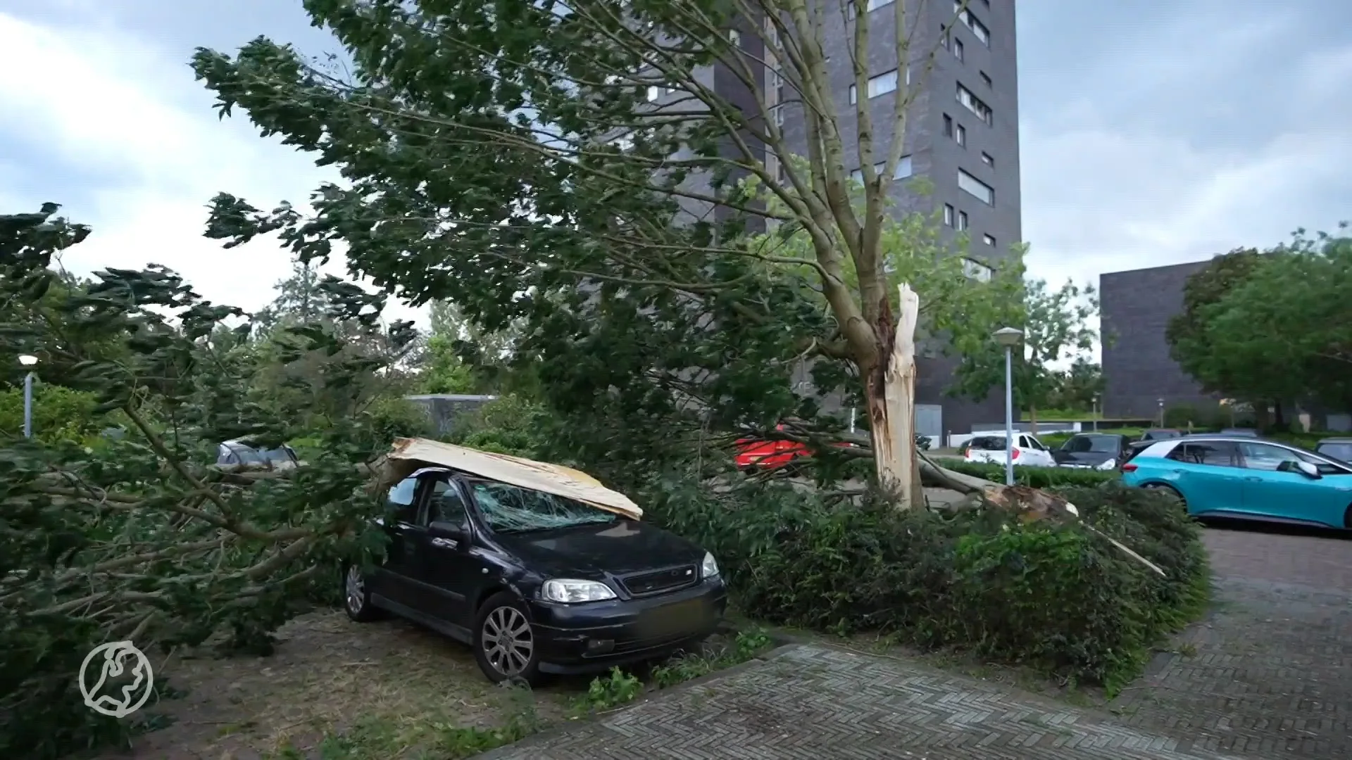 Bomen omver gewaaid op auto's in Eindhoven door harde wind