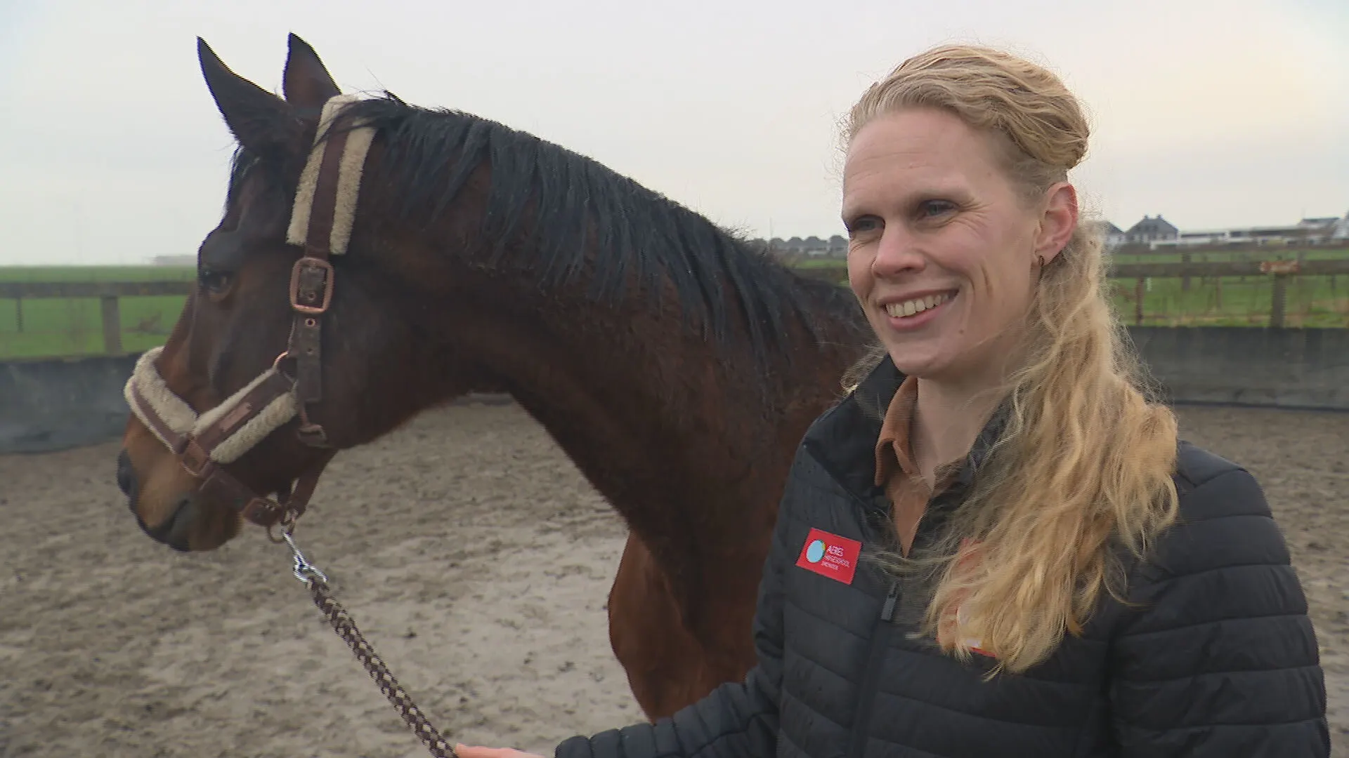 Paardencoaching is booming, maar hoe is dat voor het paard zelf? 
