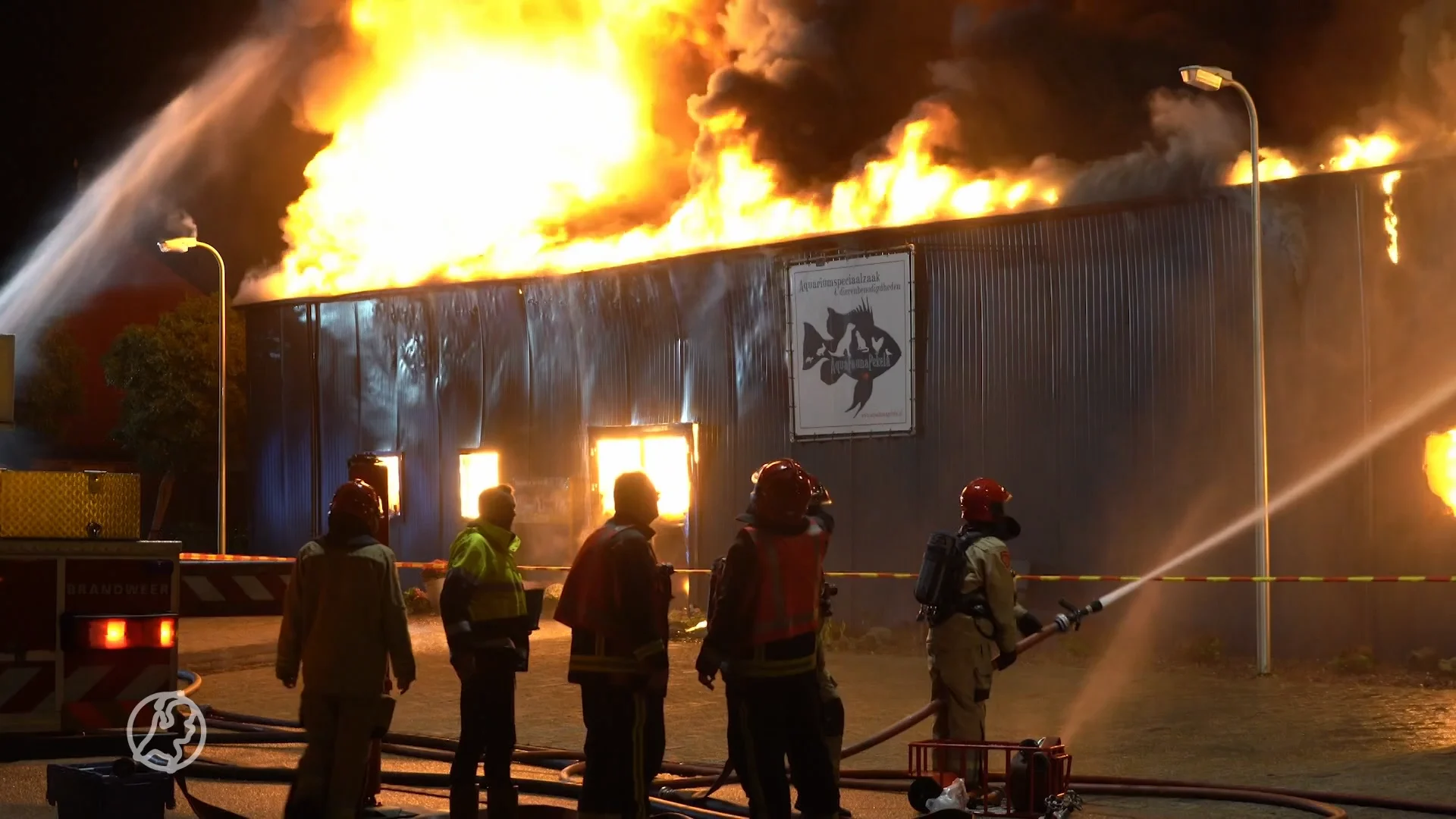 Enorme brand speciaalzaak Aquafauna Pekela: alle dieren omgekomen