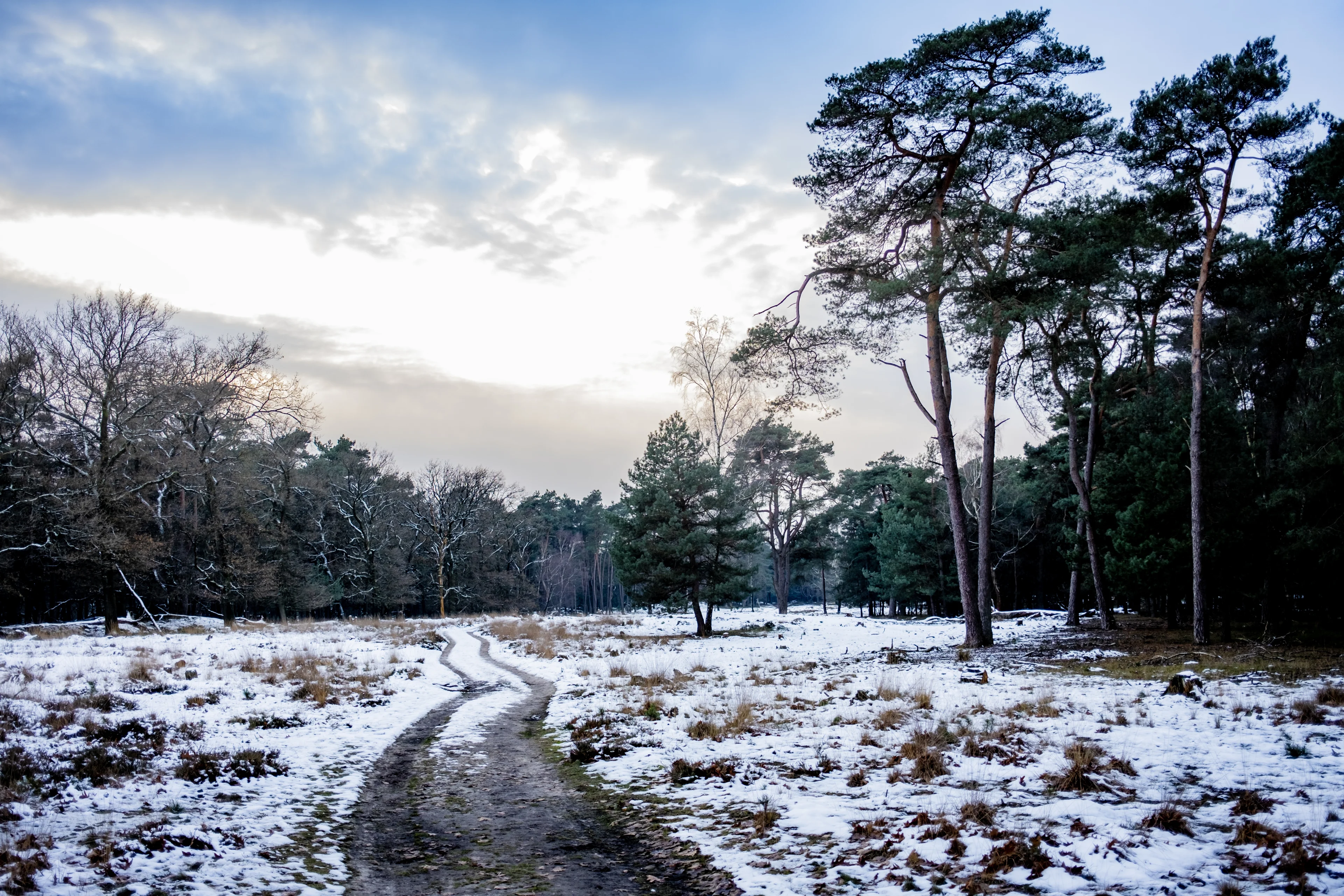 Eerste sneeuw is gevallen: komende uren op steeds meer plekken wit en glad