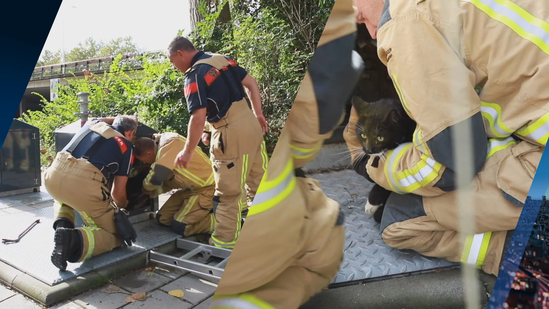 Kat gered uit ondergrondse afvalcontainer in Delft