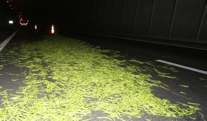 VIDEO: Snelweg bij Vught bezaaid met tienduizenden sperziebonen