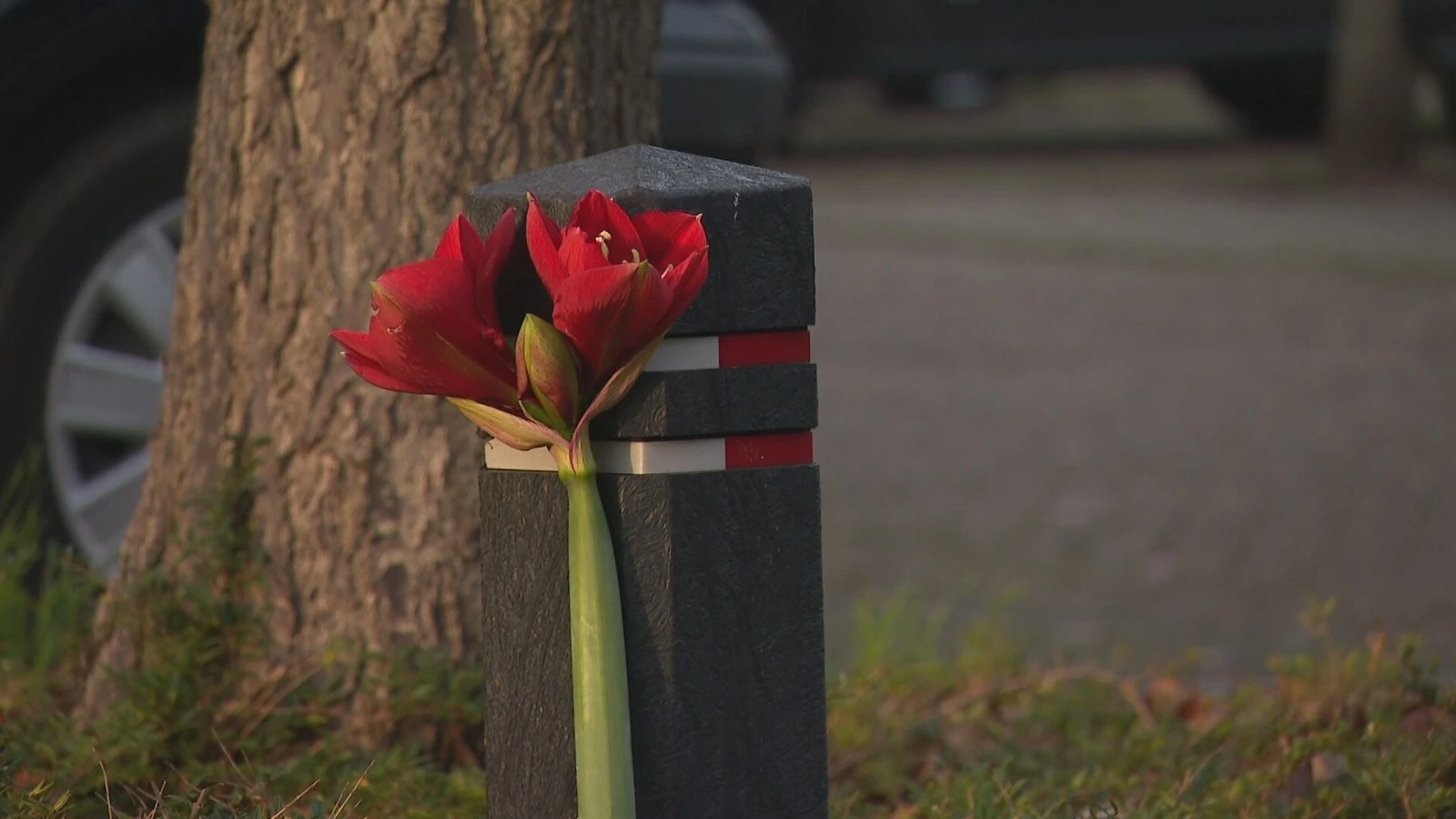 Wijchen geschokt nadat man opzettelijk is overreden door pakketbezorger: 'In één klap uit het leven gerukt'