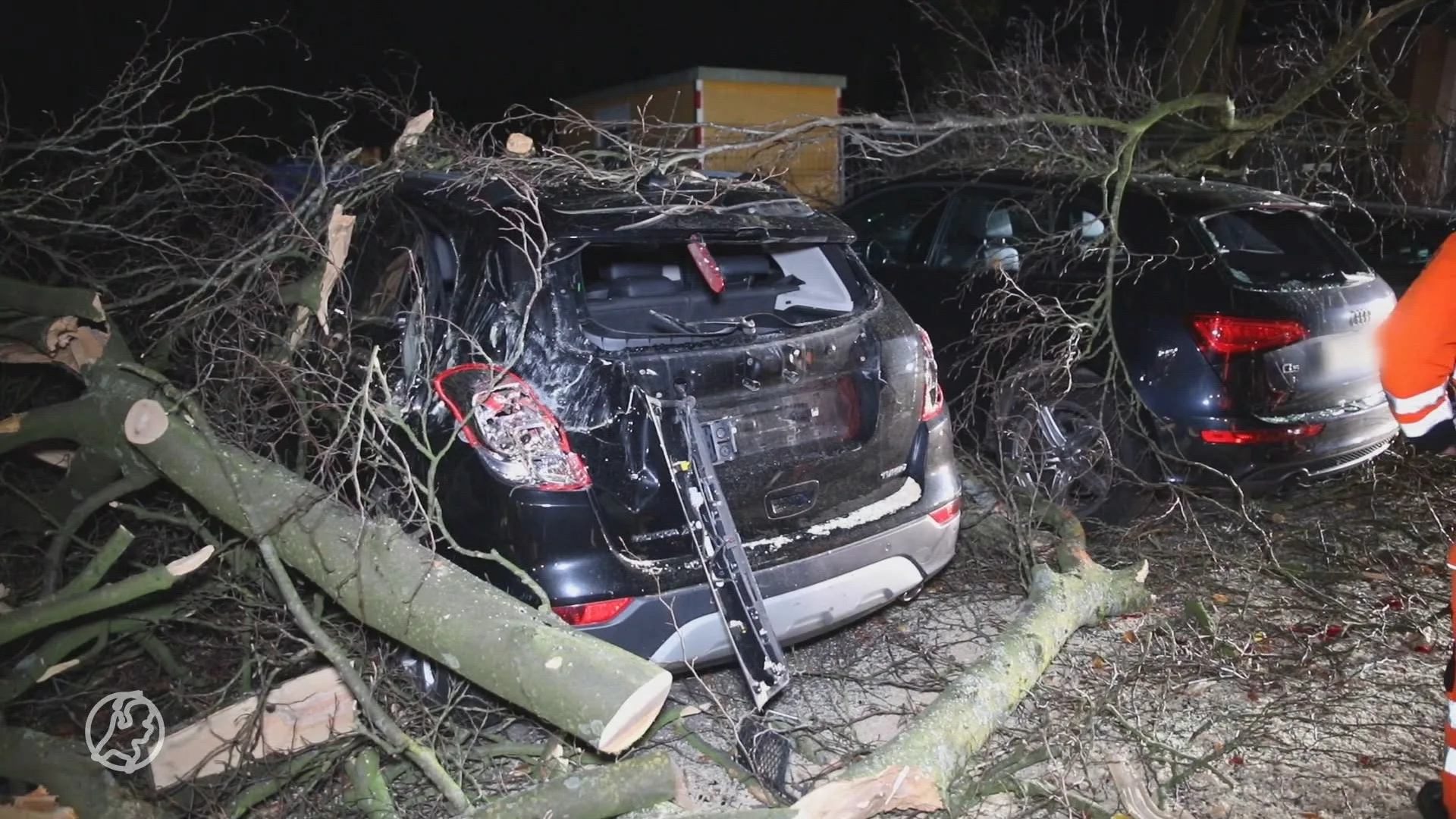 Omvallende boom zorgt voor ravage in Apeldoorn, meerdere auto's verwoest