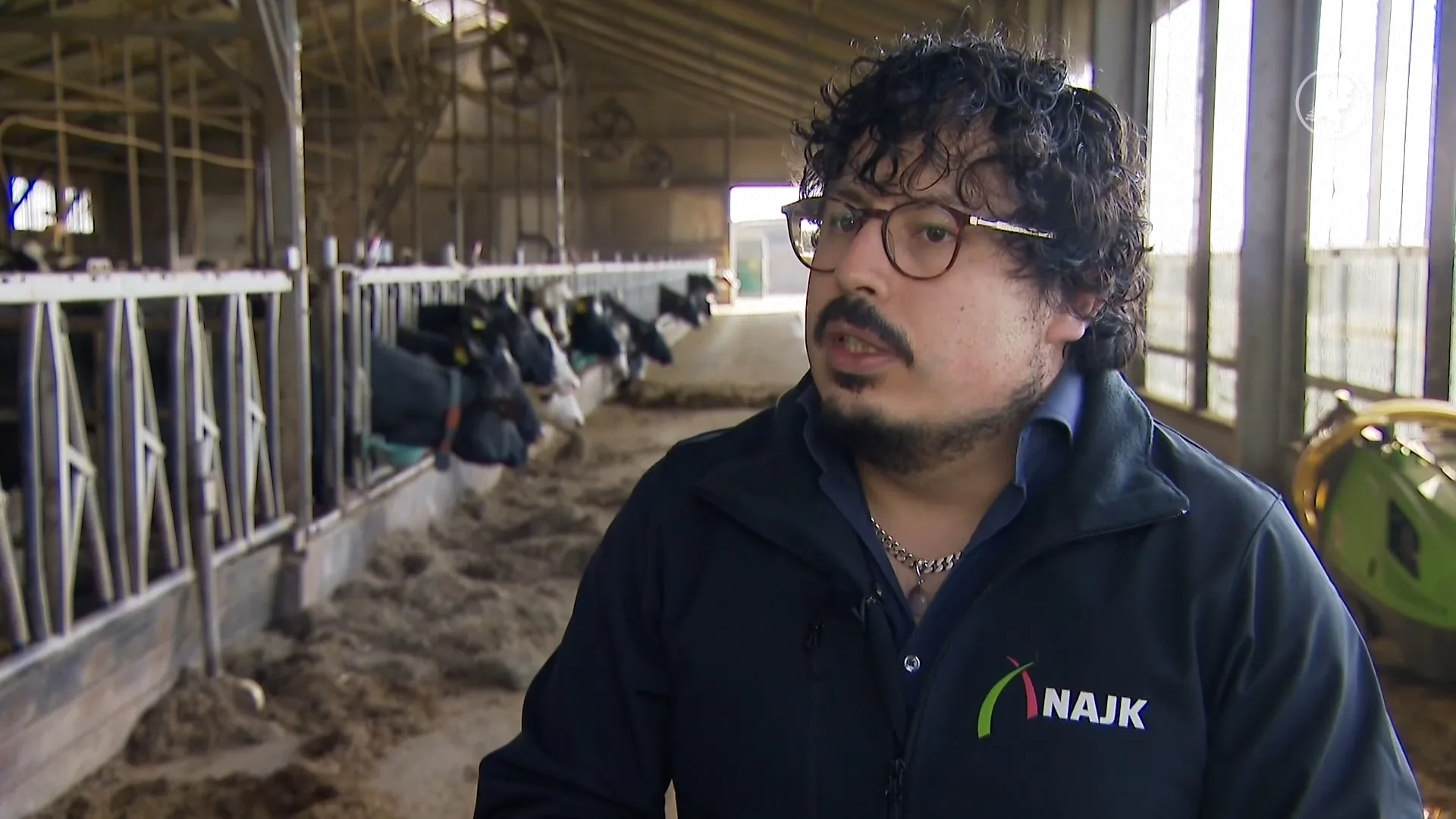 Boeren willen duidelijkheid: 'Ik sta met mijn rug tegen de muur'