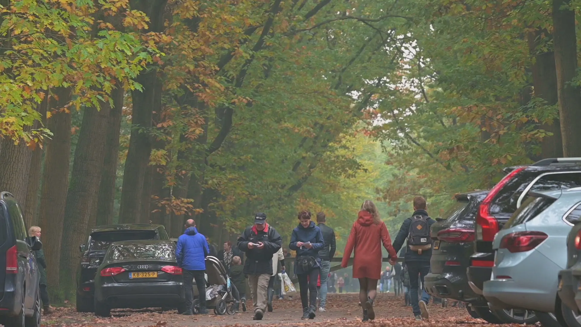 Code rood voor bossen rondom Breda: 'Veel te druk, ga ergens anders heen'