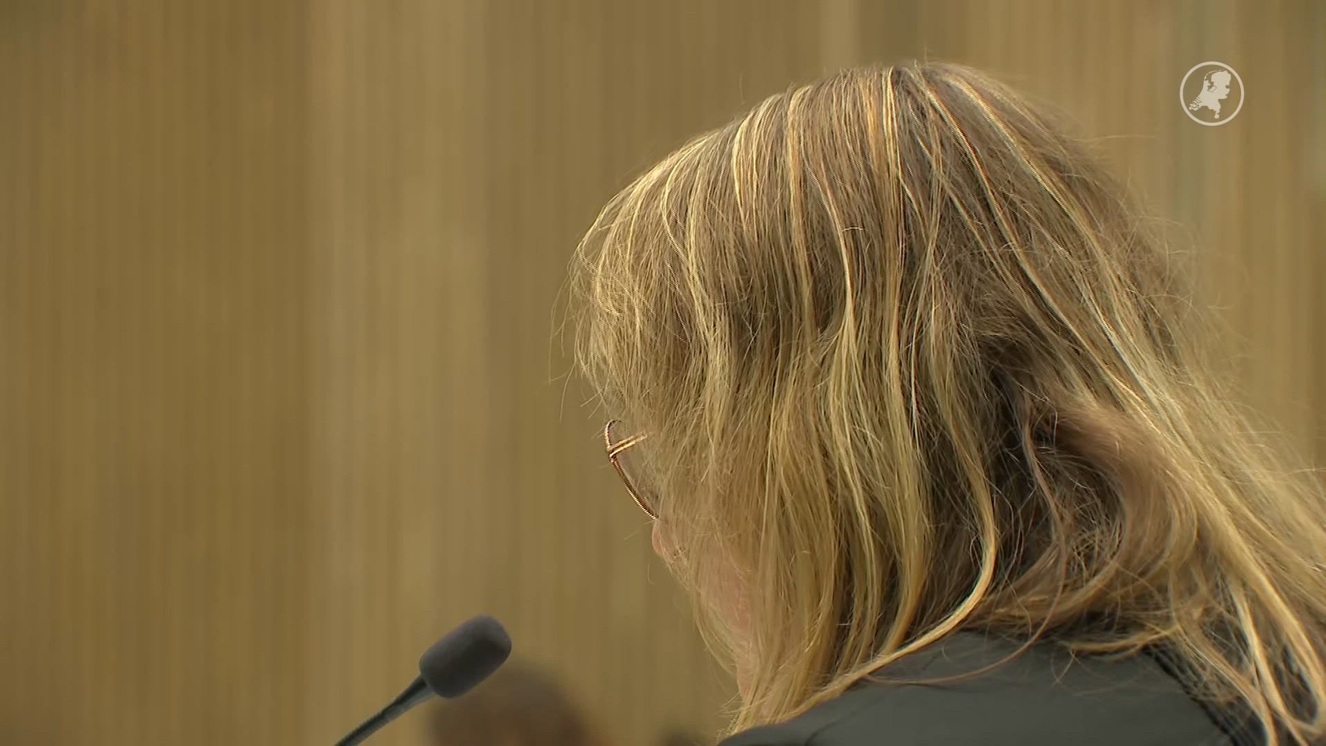 OM eist drie jaar cel voor verkrachting Koningsdag Amsterdam