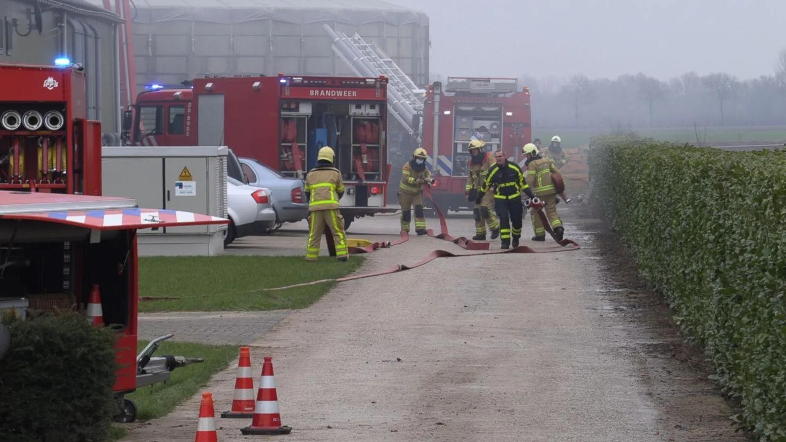 Brand in grote varkensstal in Netterden met 9.000 dieren
