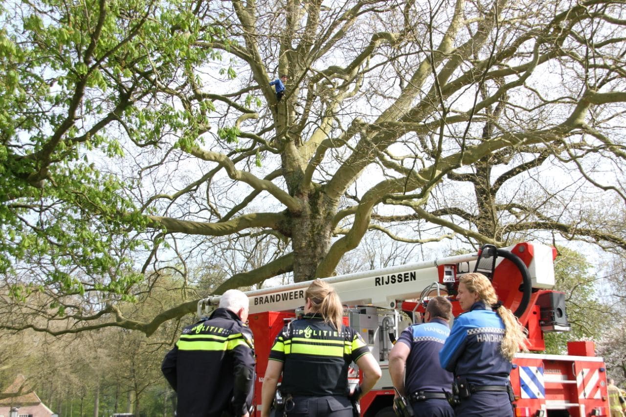 Jongen (11) uit metershoge boom gehaald in Rijssen
