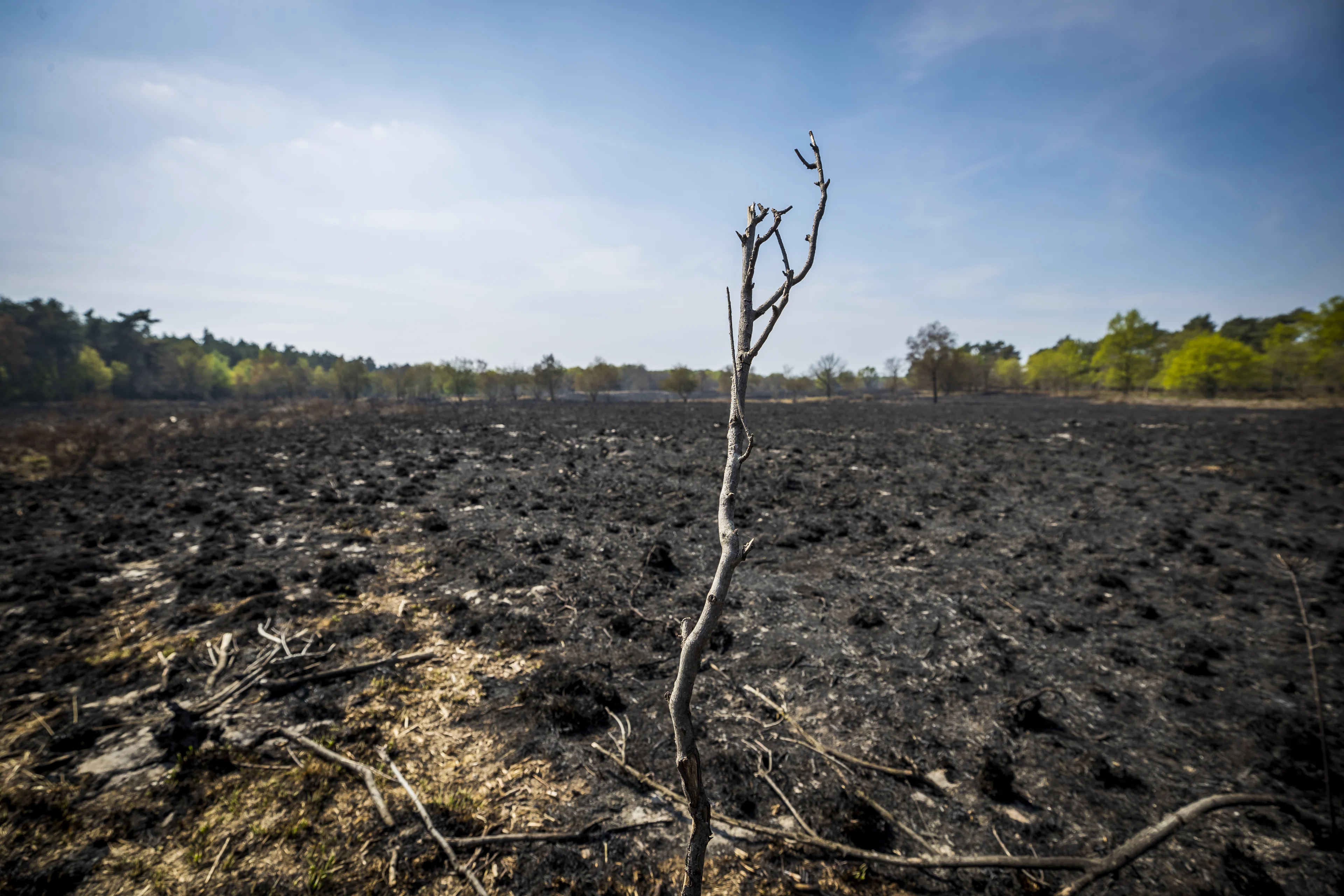 Nationaal Park de Meinweg weer toegankelijk na natuurbranden