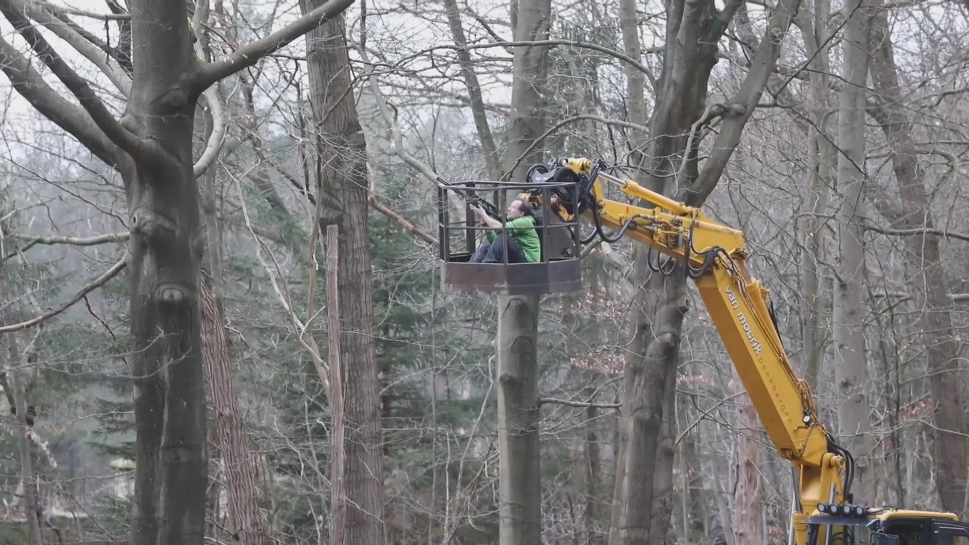 Verzorgers Apenheul weten ook derde ontsnapte berberaap te verdoven