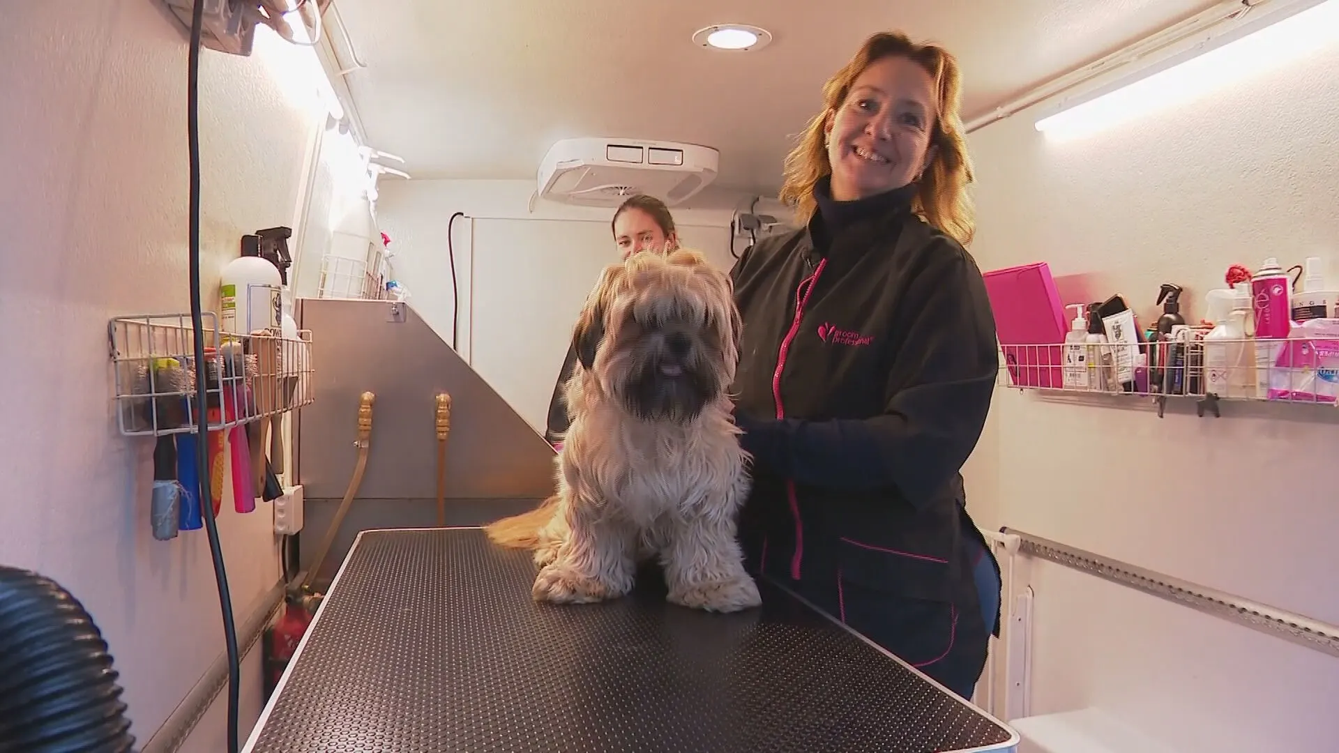 De hond mag weer naar de trimsalon, maar alleen als dat noodzakelijk is