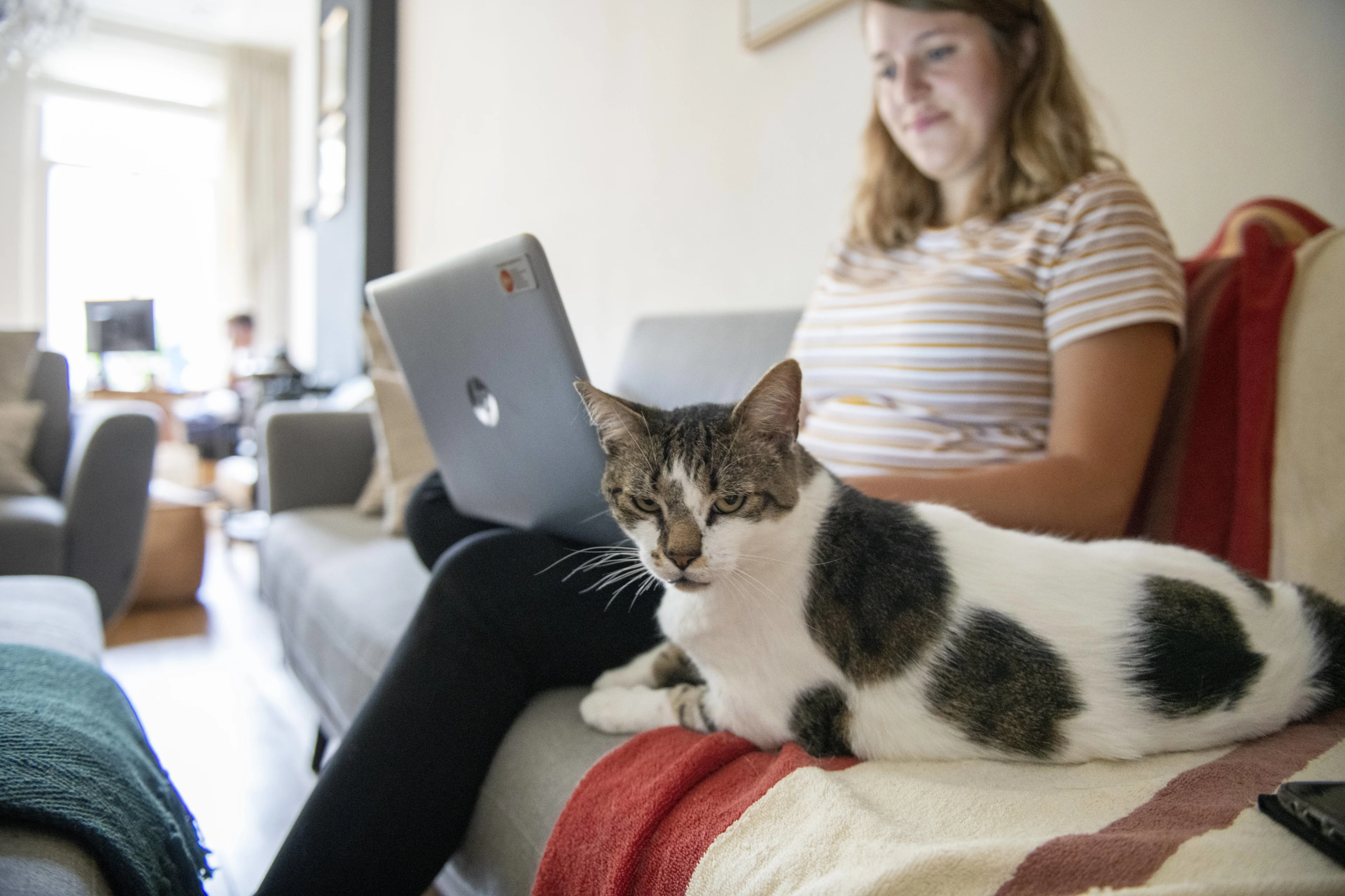 Minder uitstoot CO2 en stikstof door thuiswerken: 'Grote groene sprongen voorwaarts'