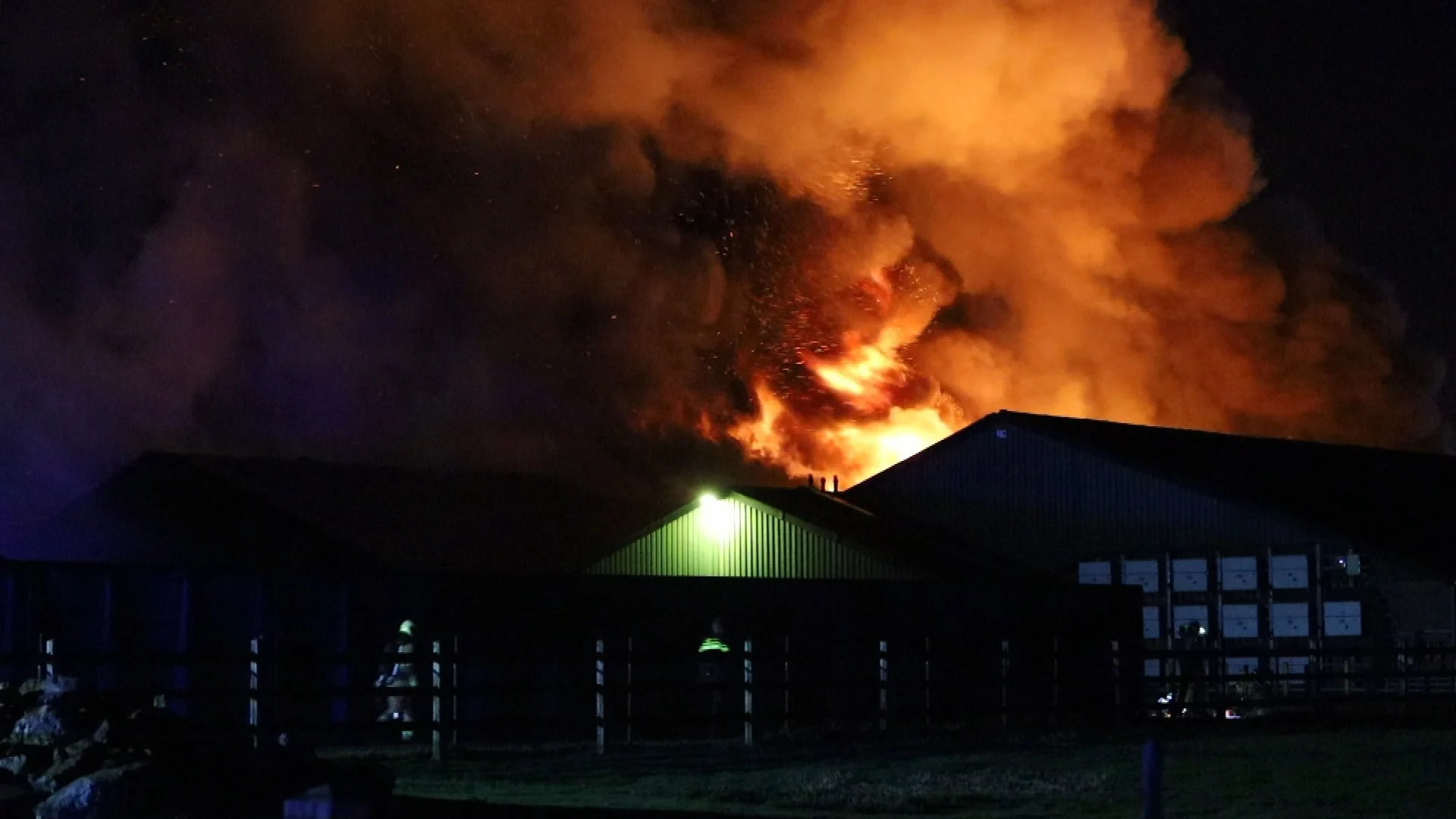 Duizenden biggen omgekomen bij grote stalbrand in Boekel