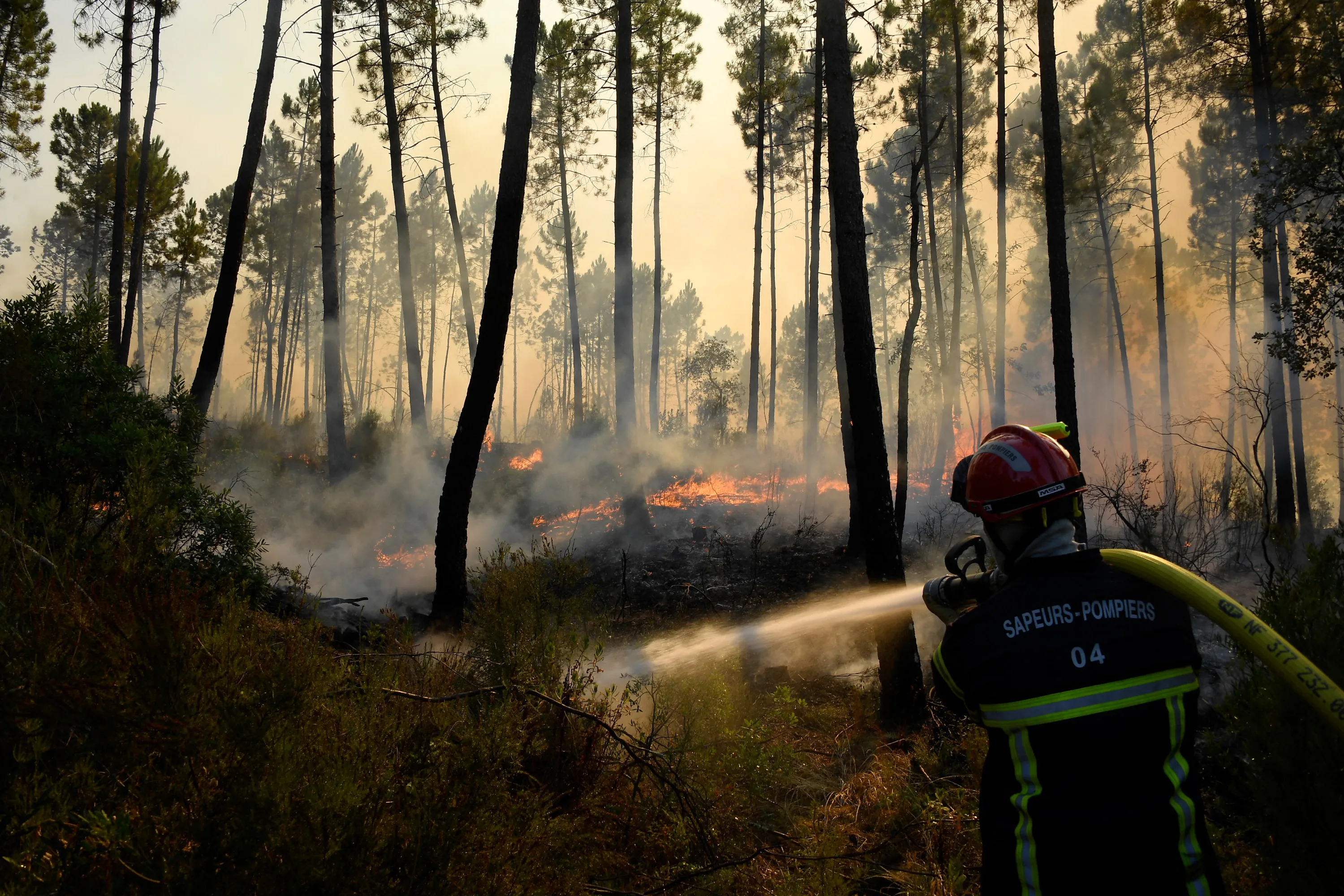 Nederlanders die moesten vluchten voor bosbranden in Frankrijk mogen terug naar camping