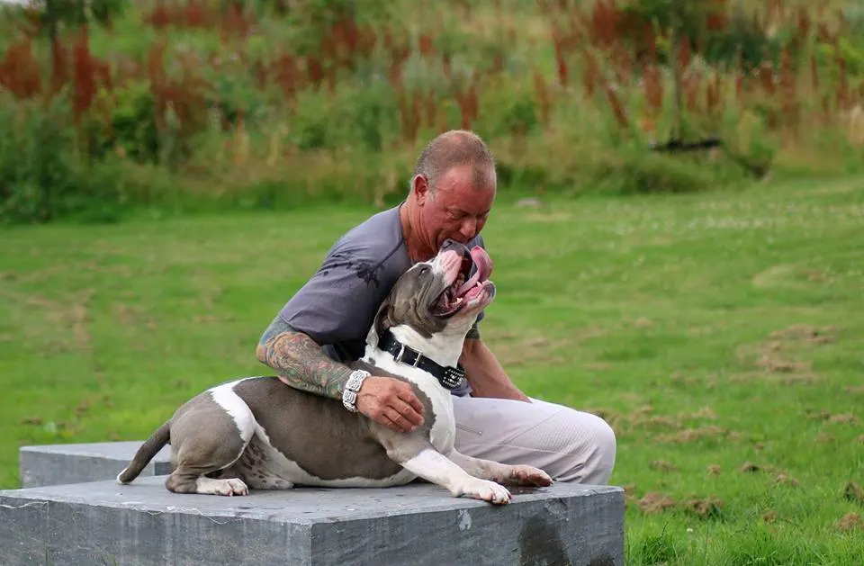 In beslag genomen hond Mr. Bigg weer thuis: 'Het IJsselmeer was te klein voor mijn tranen'