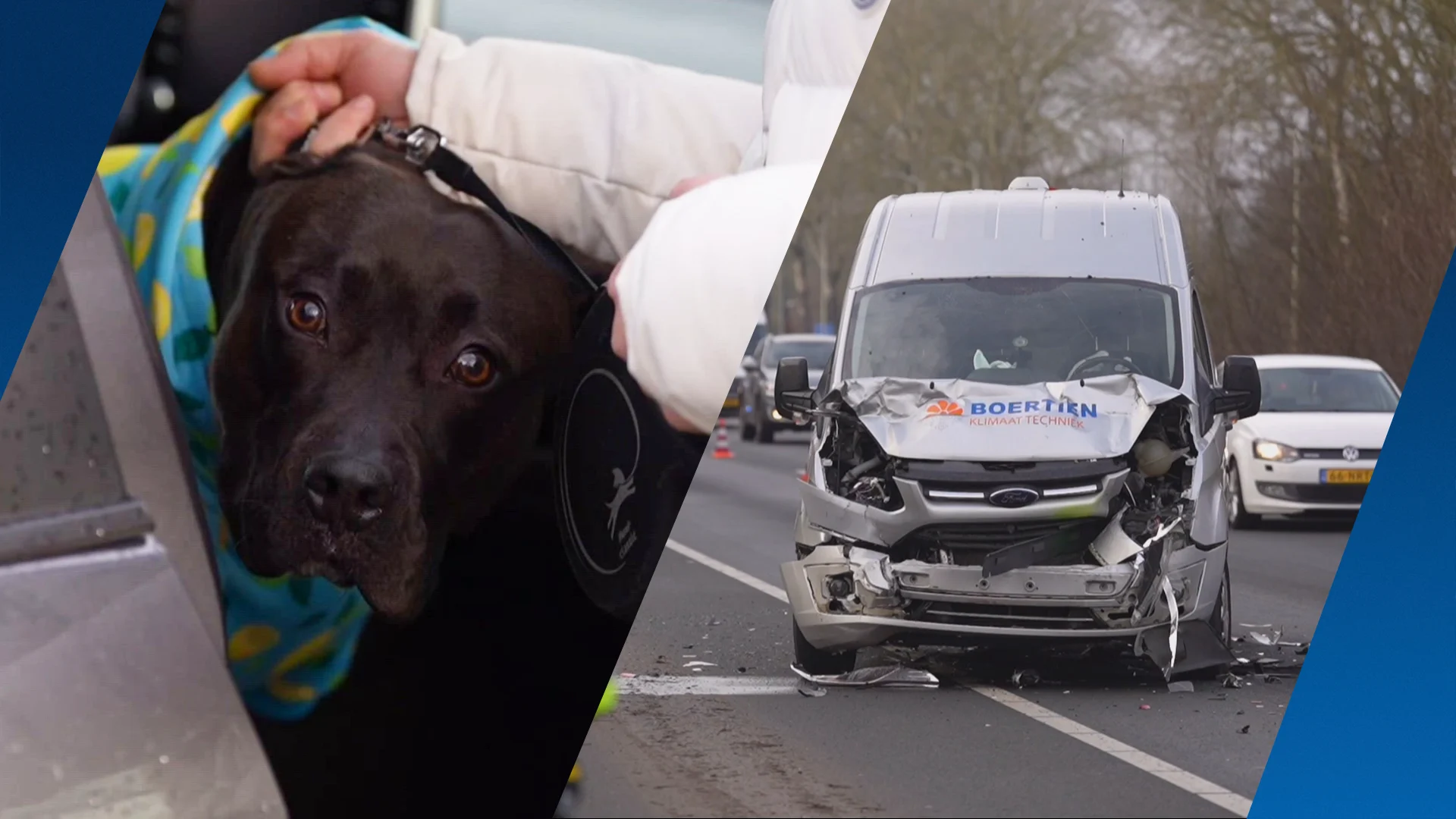 Busje knalt op auto met vrouw en hond bij Nuenen