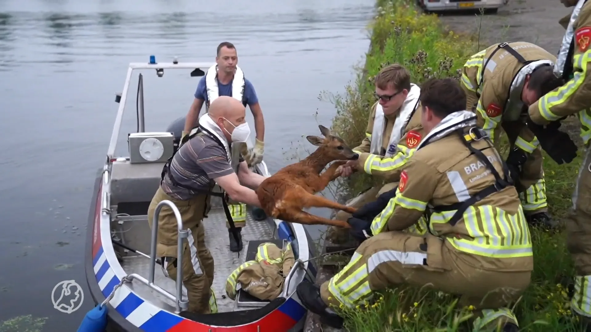 Jarige brandweerman redt reetje uit het water in Weert