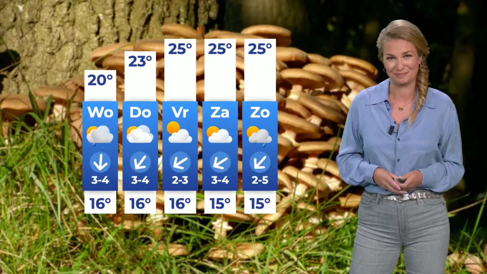 Zon laat zich weinig zien op druilerige woensdag