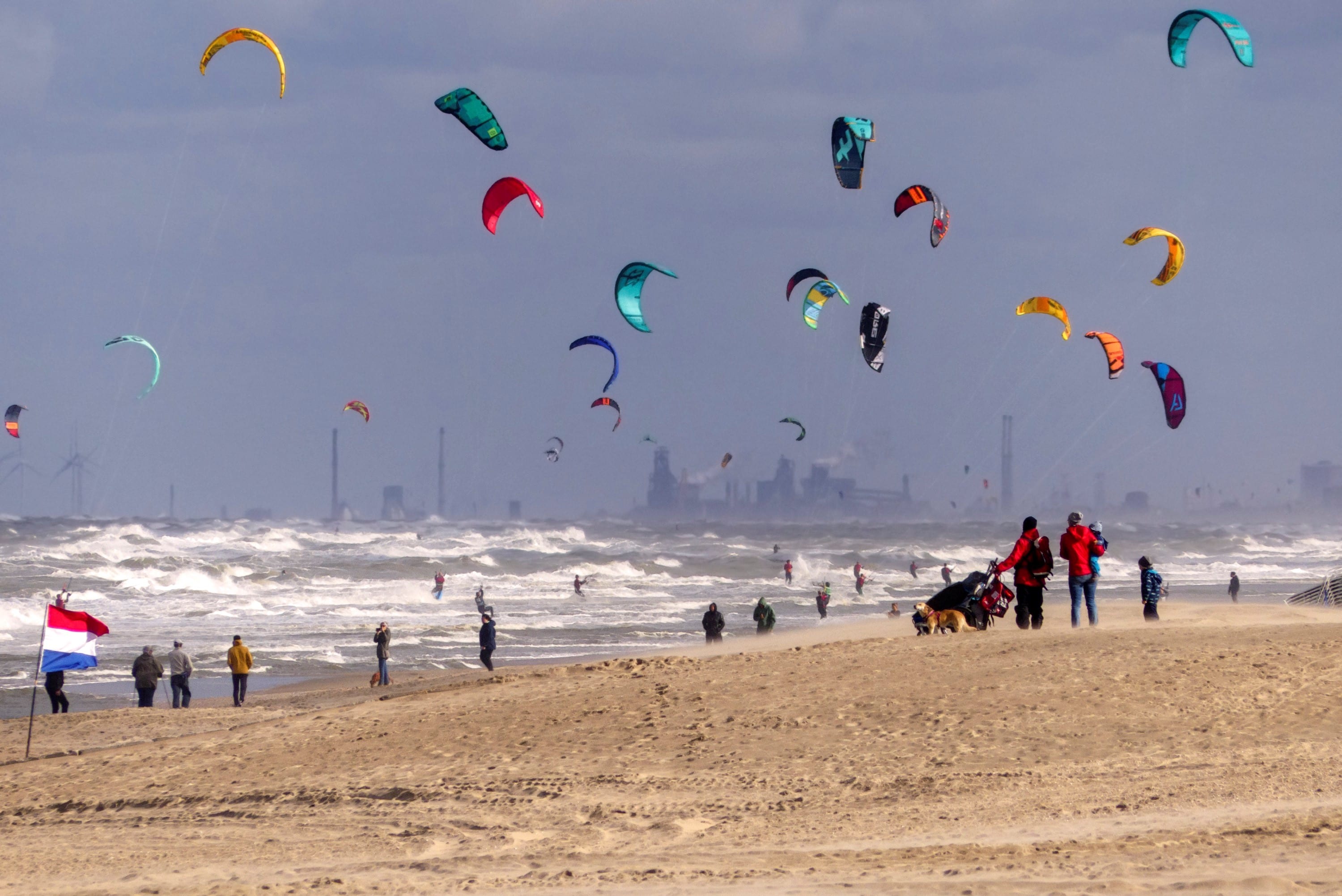 Een echte herfstdag, met flink wat wind en steeds meer regen