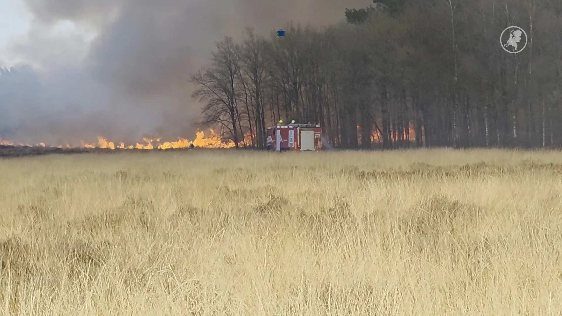 Grote natuurbrand bij Ede, vuur verspreidt zich snel