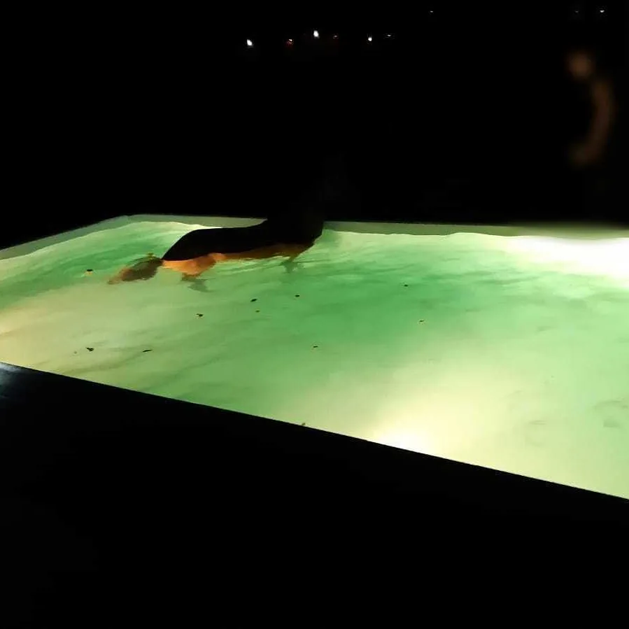 Paard neemt duik in privézwembad, hulpdiensten helpen dier op het droge