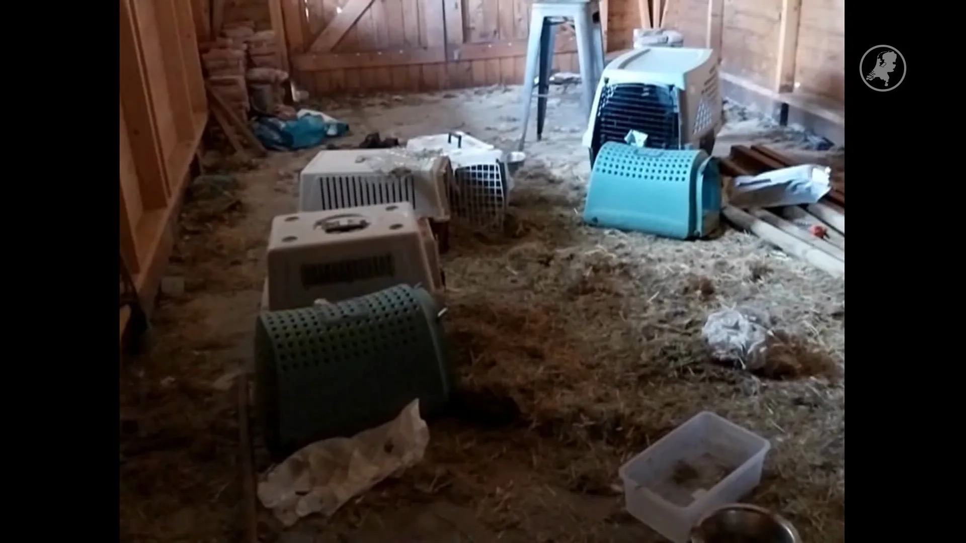 Verwaarloosde en dode dieren gevonden bij dierenarts Friesland