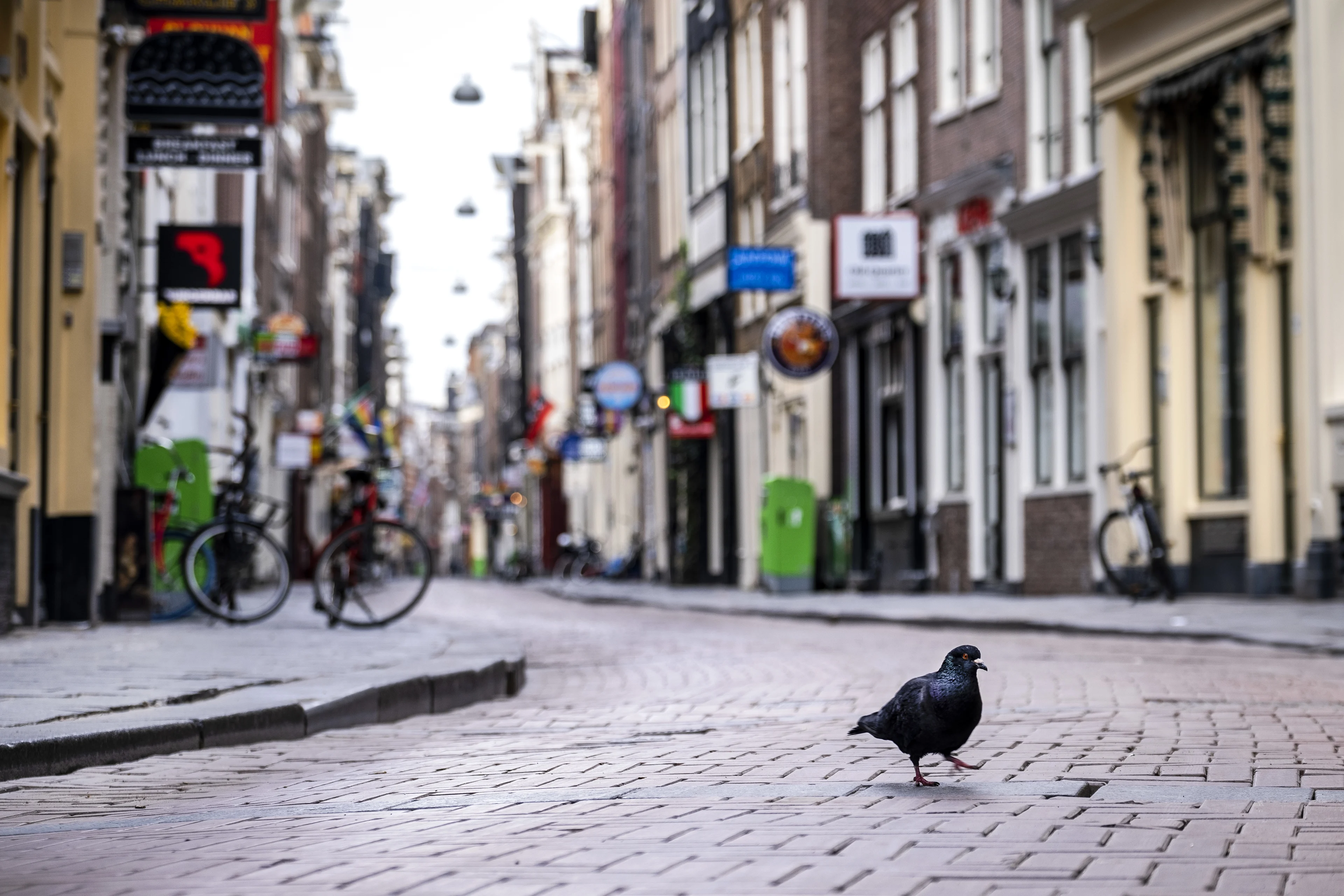 Planbureau voorspelt: Nederlandse economie krimpt dit jaar met 6 procent