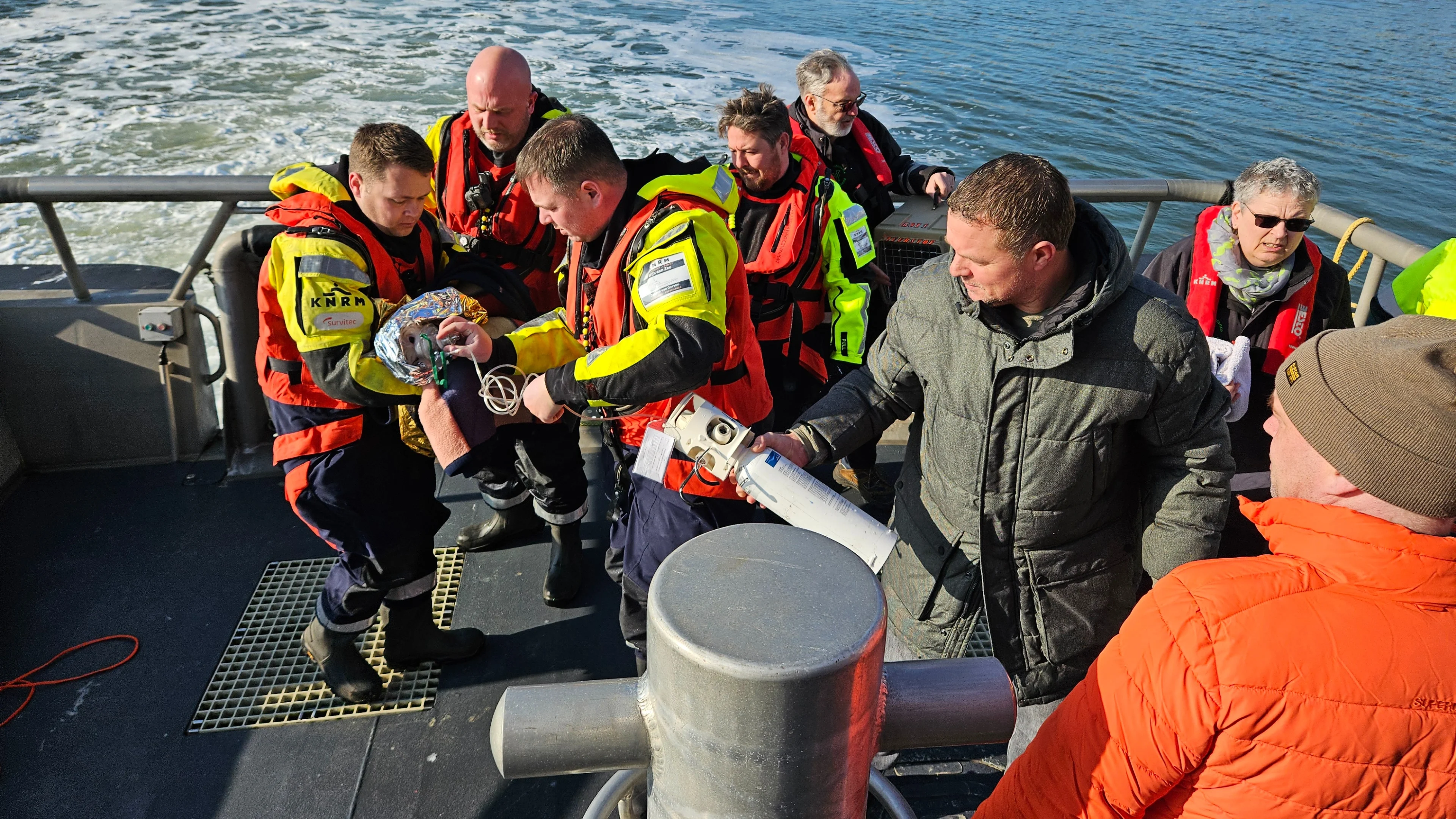 Hond overleden na sprong van pier in ijskoude zee: 'Levensgevaarlijk'