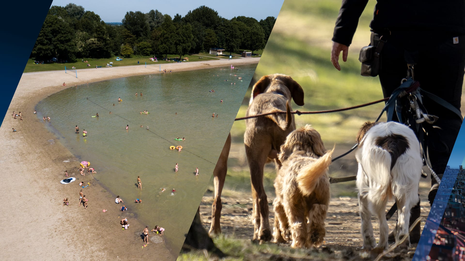 Hond overleden en meerdere ziek na wandeling Maarsseveense Plassen