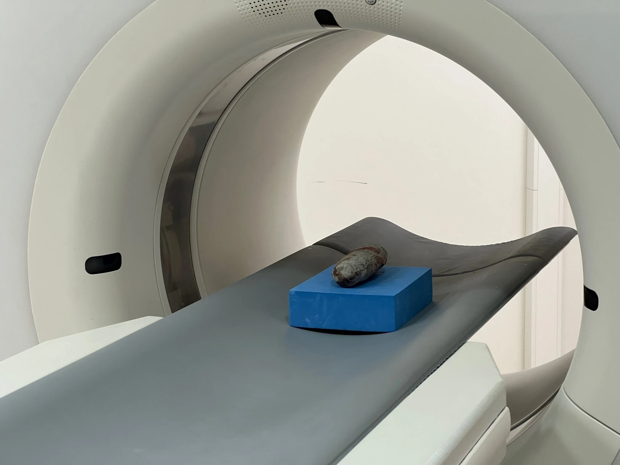 'Wereldnieuws!' Mogelijk dinosaurus-embryo gevonden in 70 miljoen jaar oud ei 