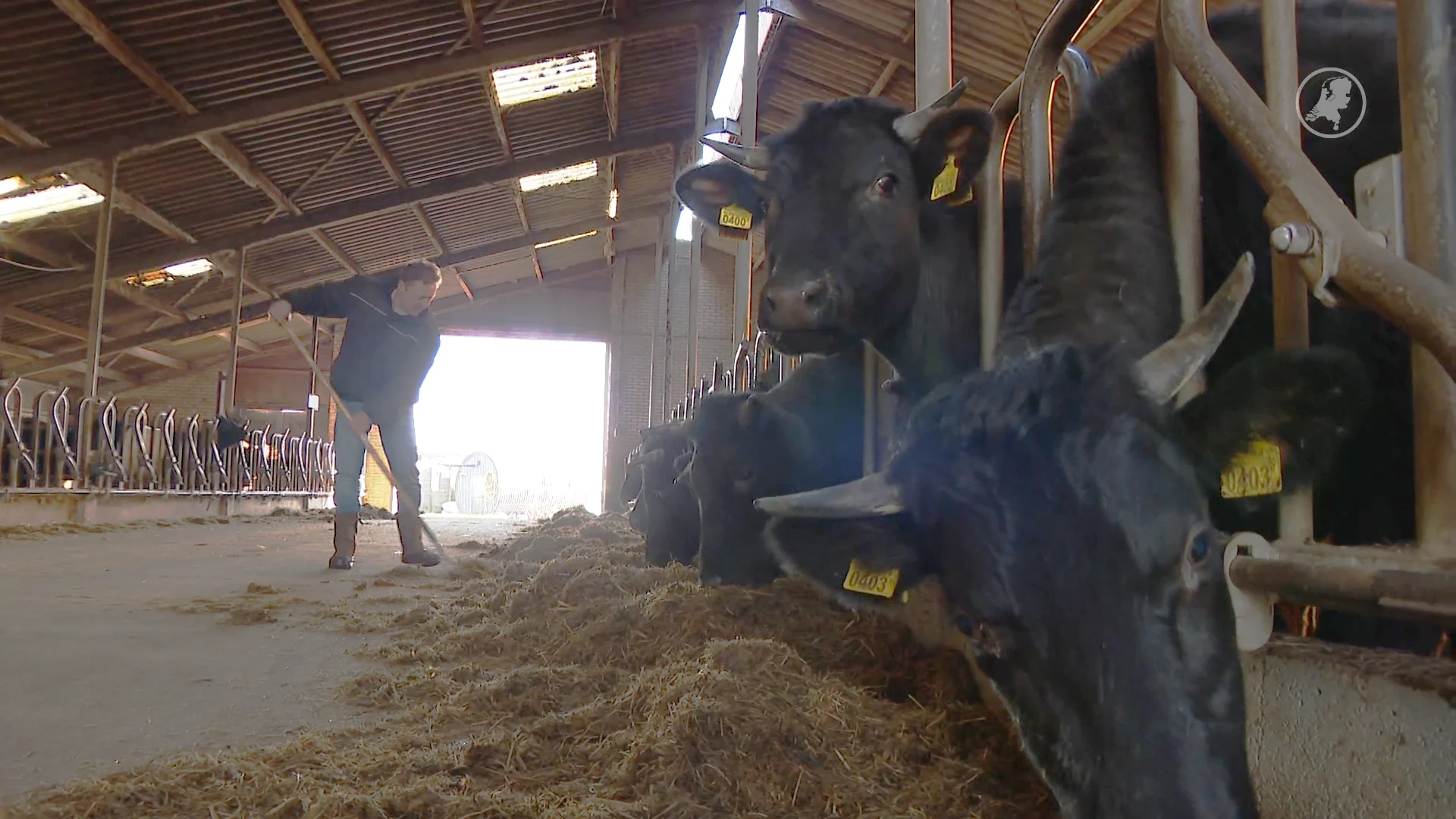 Boer moet wijken voor hoogste bieder: einde aan 200 jaar geschiedenis