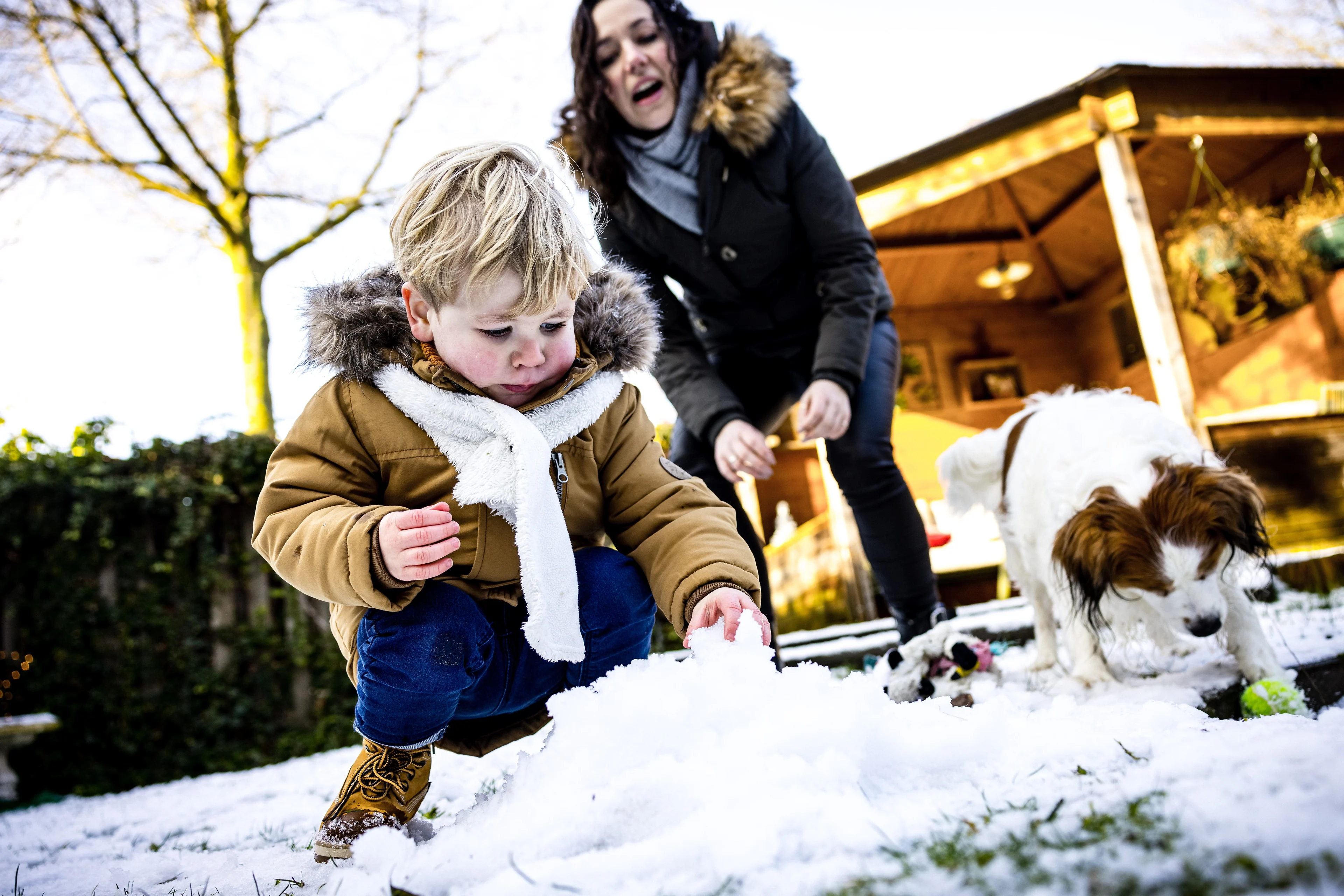 Vrijdag nieuwe sneeuwbuien én dan blijft het liggen