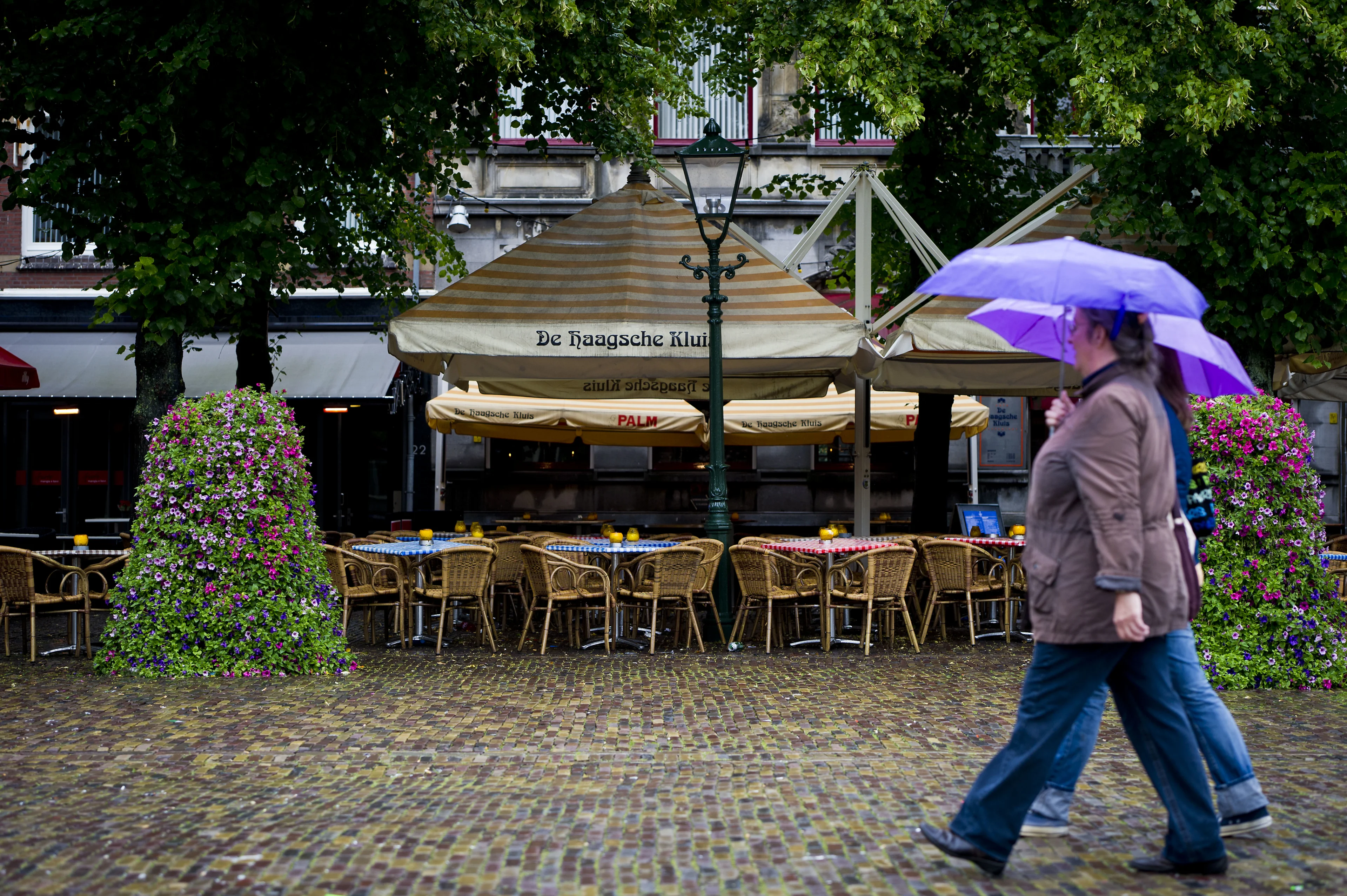 De lente neemt alvast voorschot op meivakantie: grijs en nat