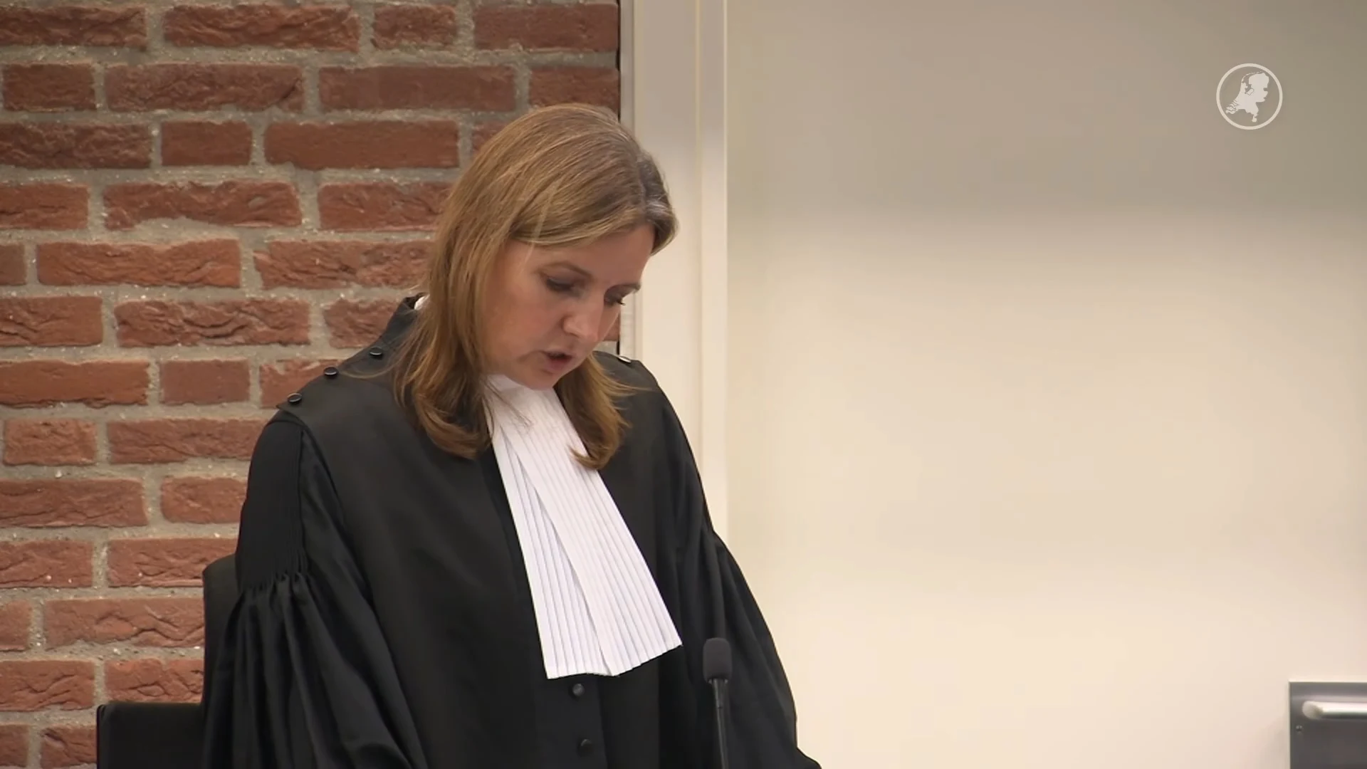 OM eist 16 jaar cel en tbs voor moord op Elise (59) die haar hond uitliet