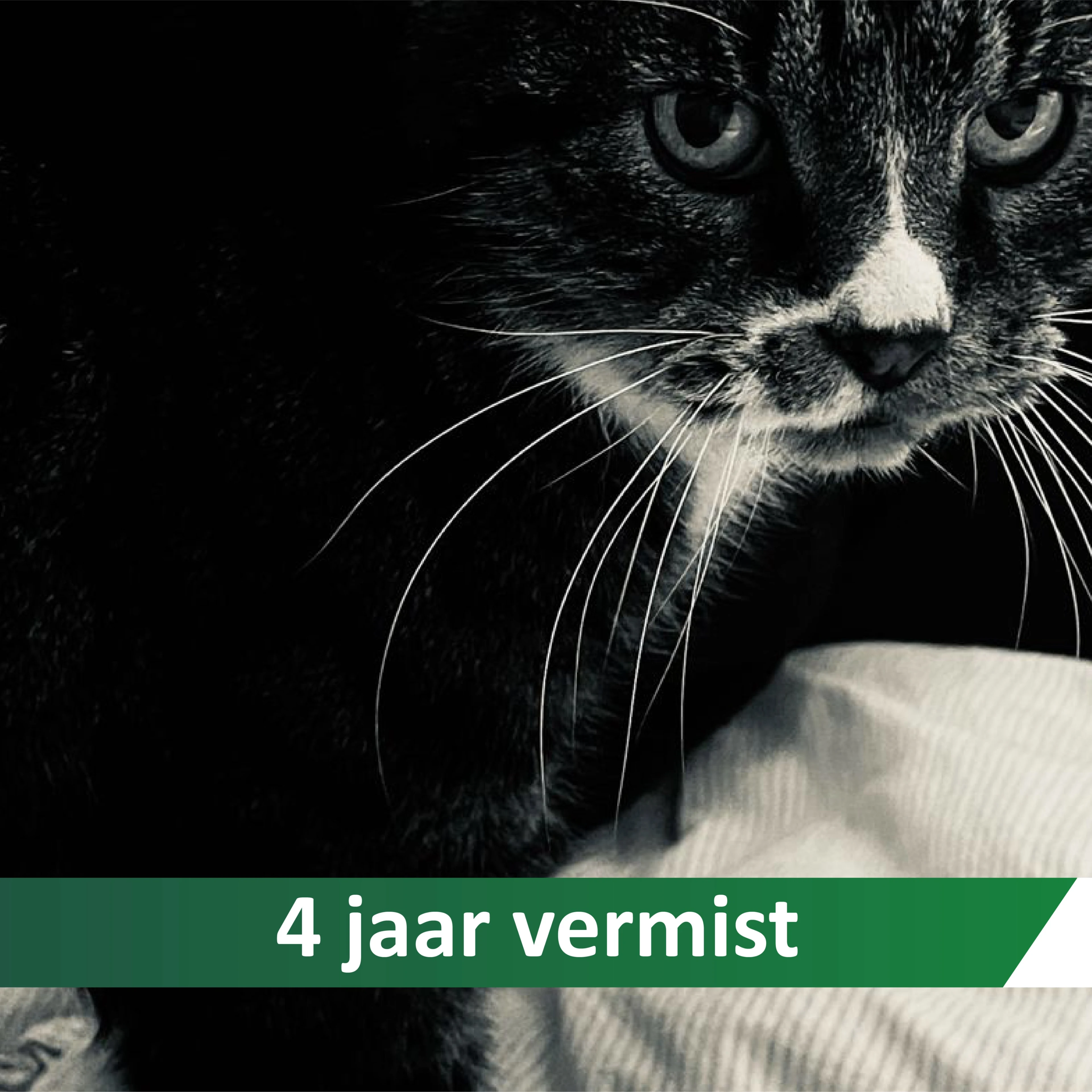 Vermiste Poezzie (17) was 5 jaar nergens te bekennen, maar is weer gevonden