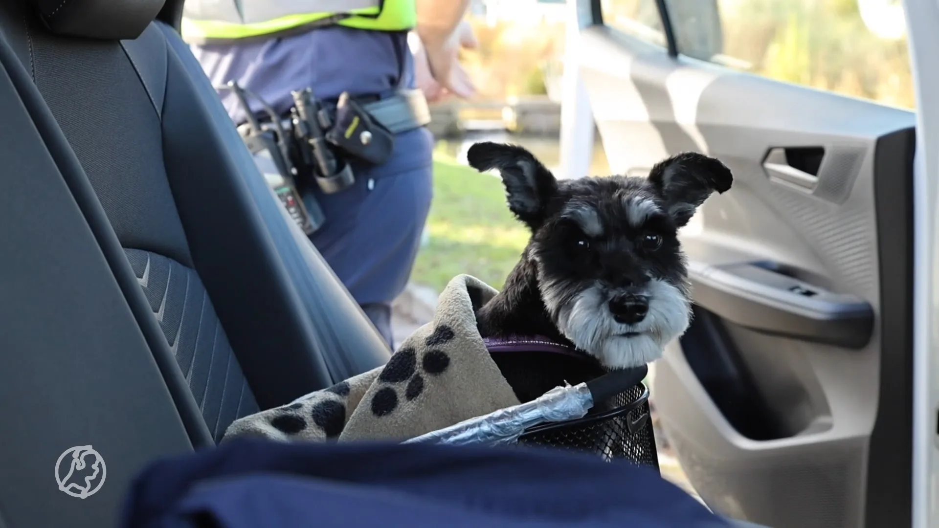 Fietser met hondje aangereden in Den Hoorn