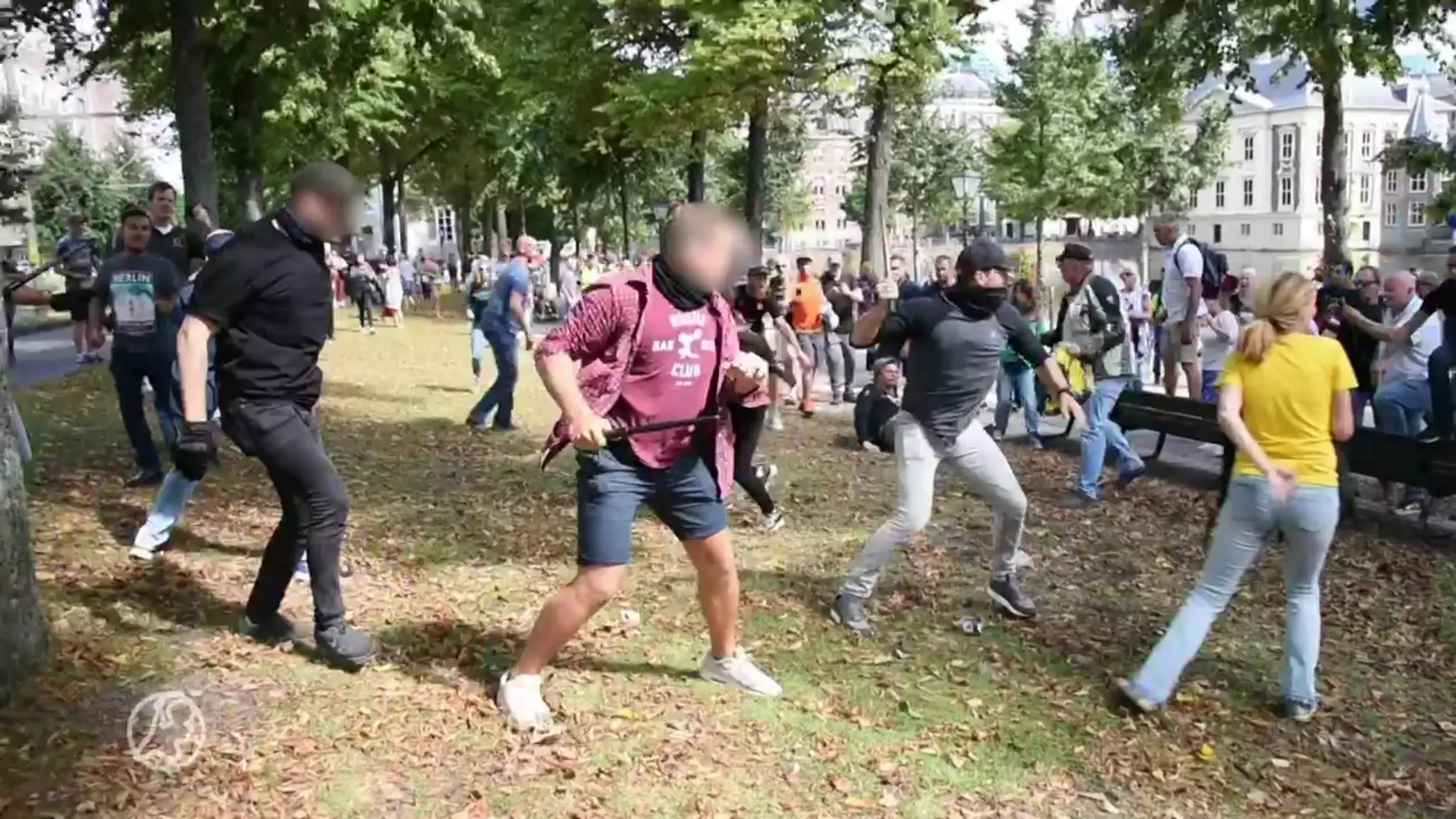 Verdachte die bij demonstratie in Den Haag politie belaagde wraakt rechter