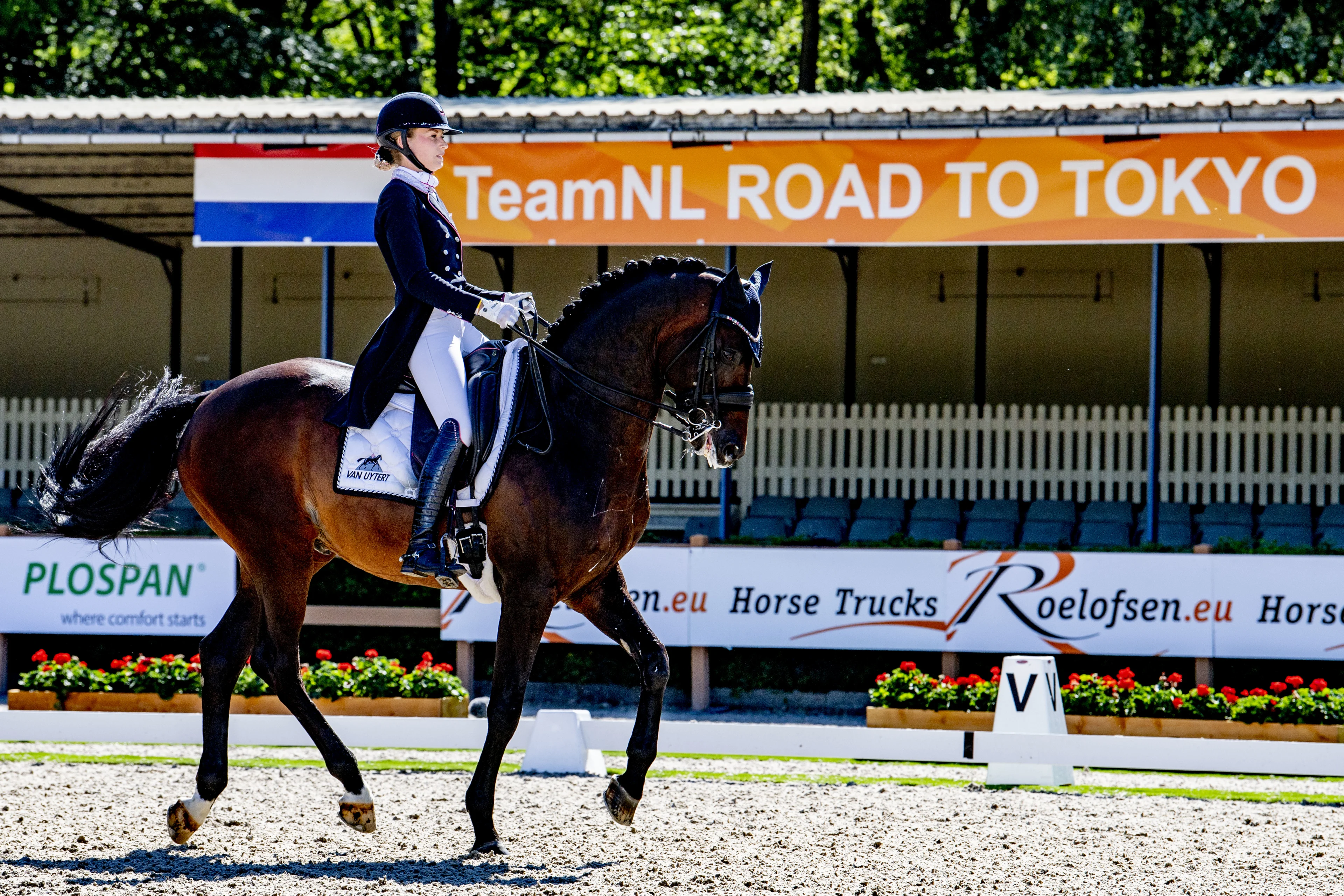 Stagiair blundert: Nederlandse ruiter mag niet met toppaard naar Spelen